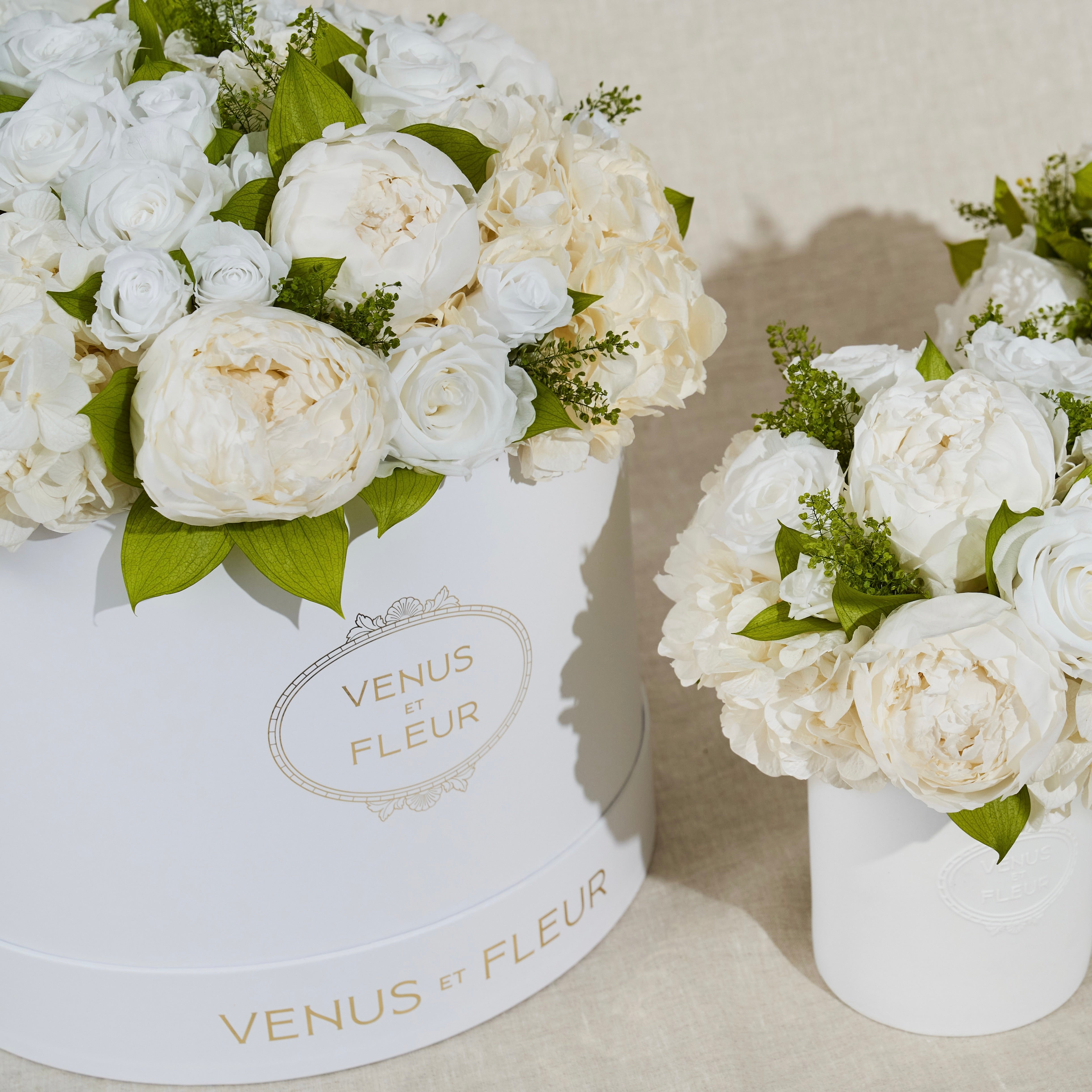 Large Round of Eternity® Roses & Hydrangeas | Venus et Fleur