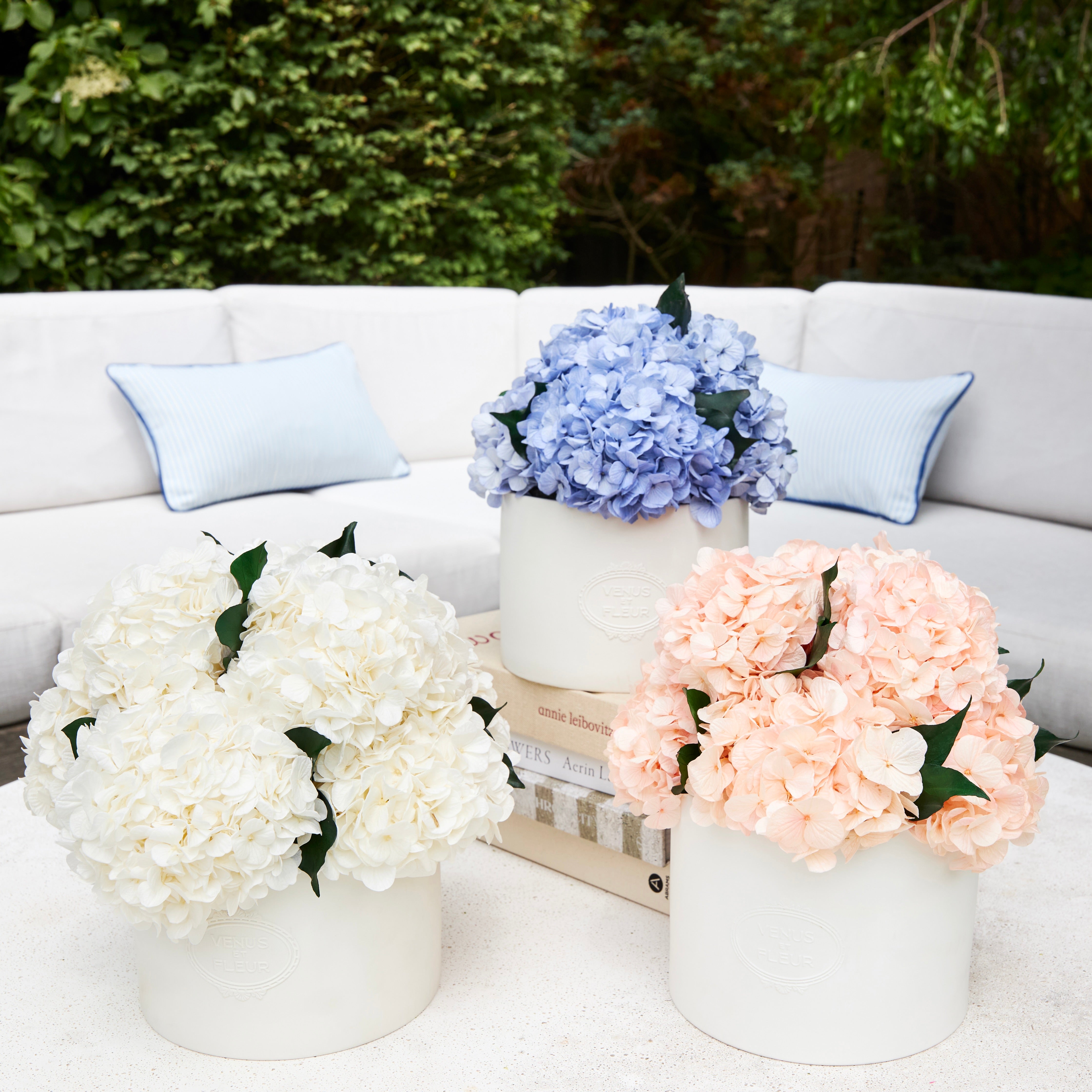 Thalia Porcelain Vase with Fall Hydrangeas | Venus et Fleur