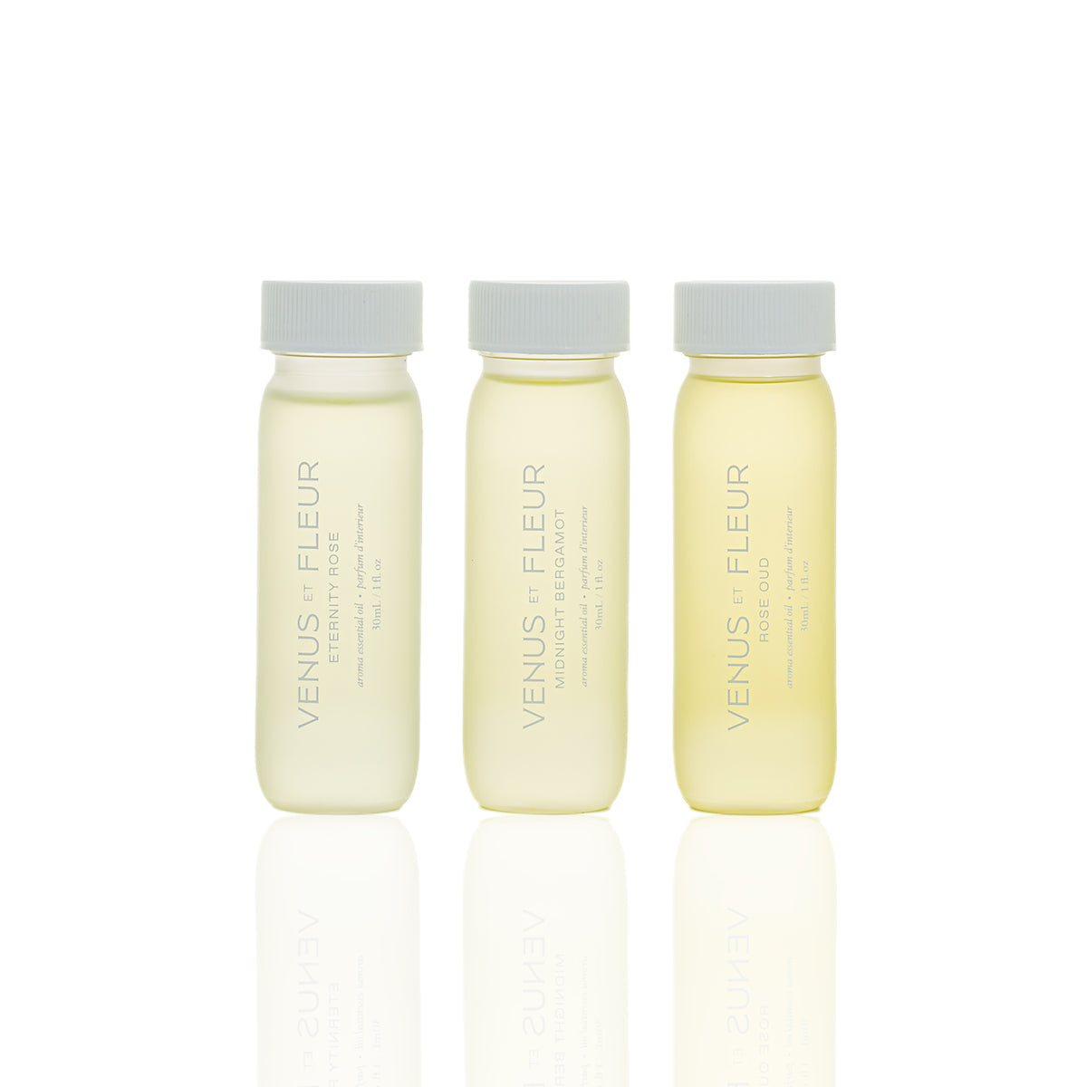 Ascend Diffuser Refill | Signature Discovery Trio