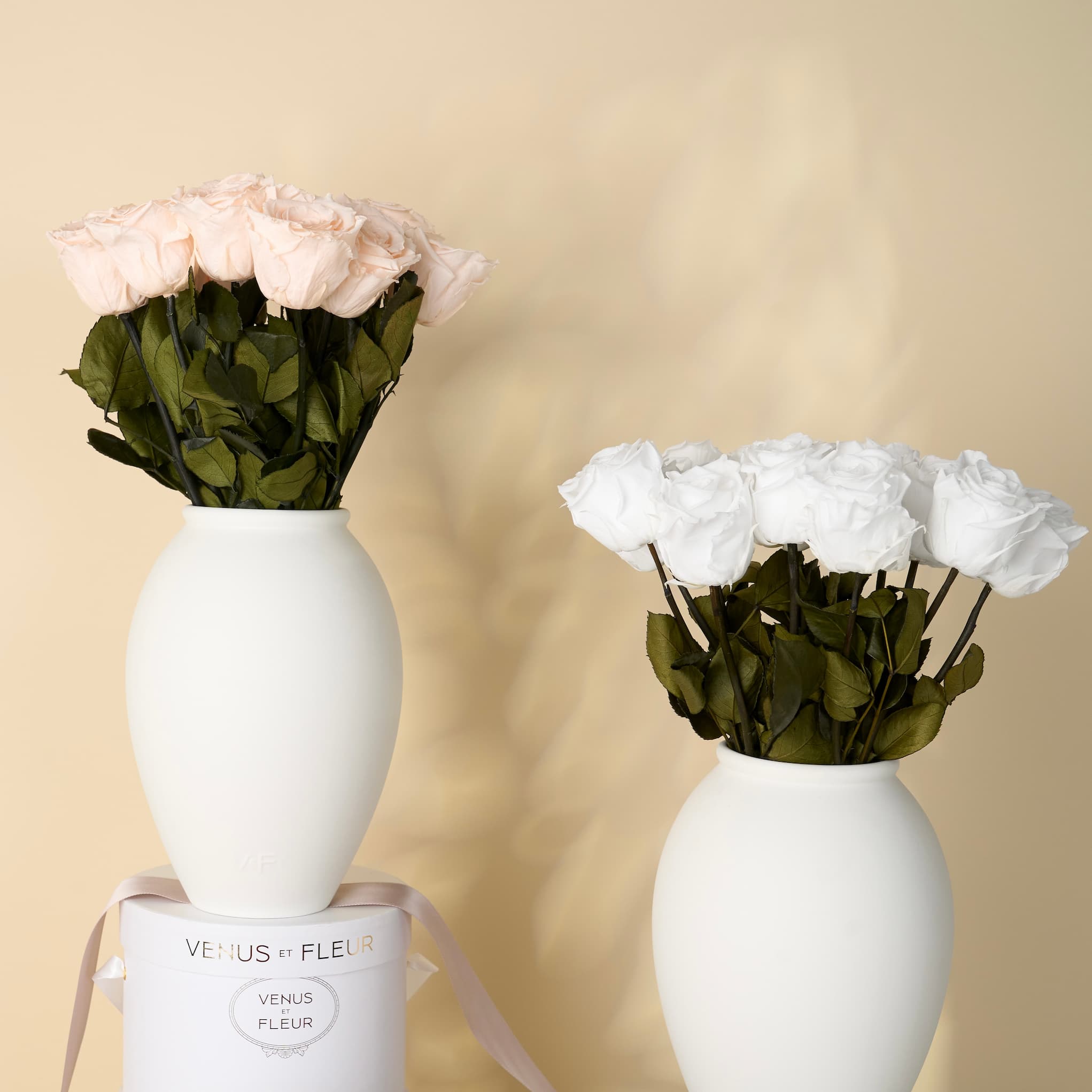 Amphora Porcelain Vase 6
