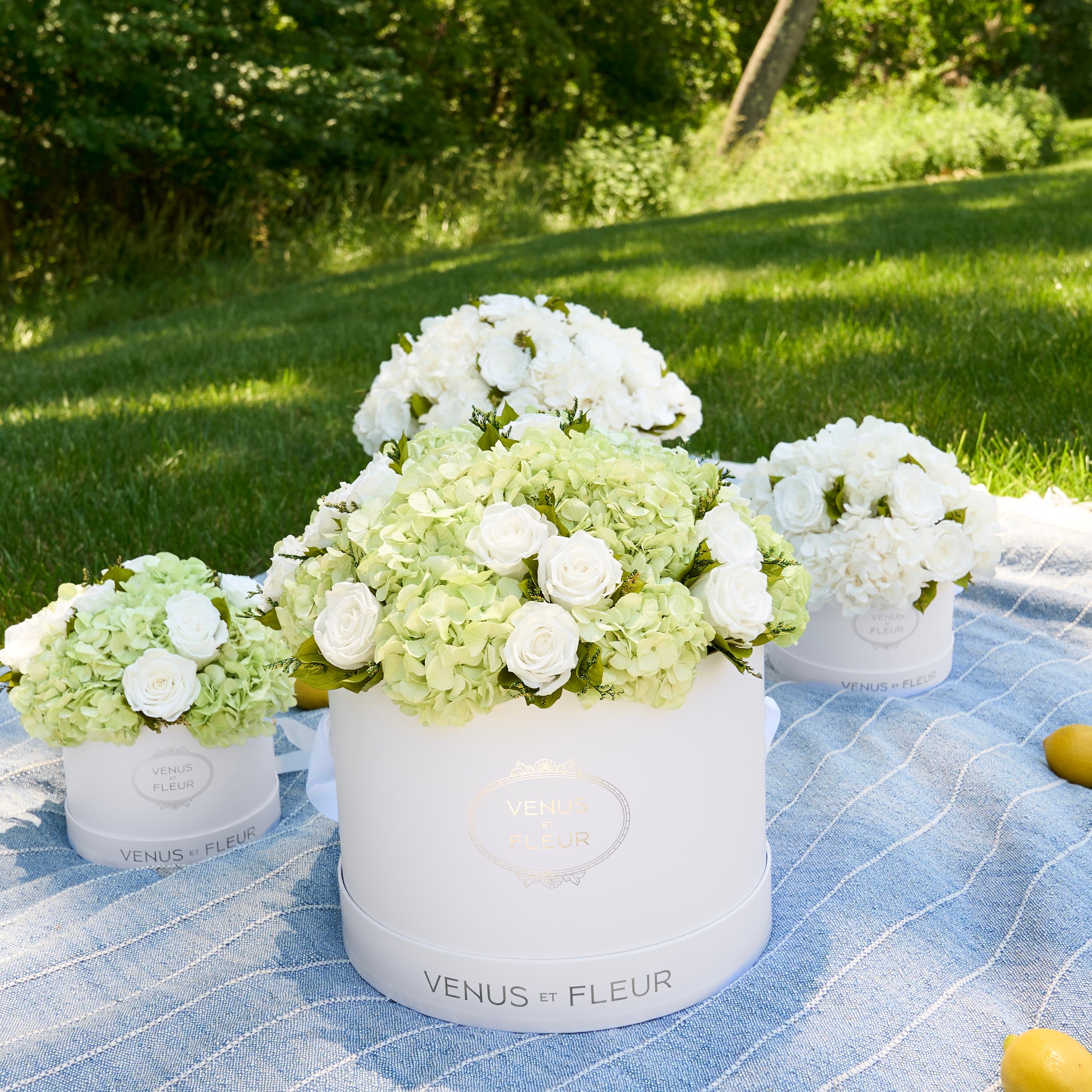 Large Round Roses & Hydrangeas 15