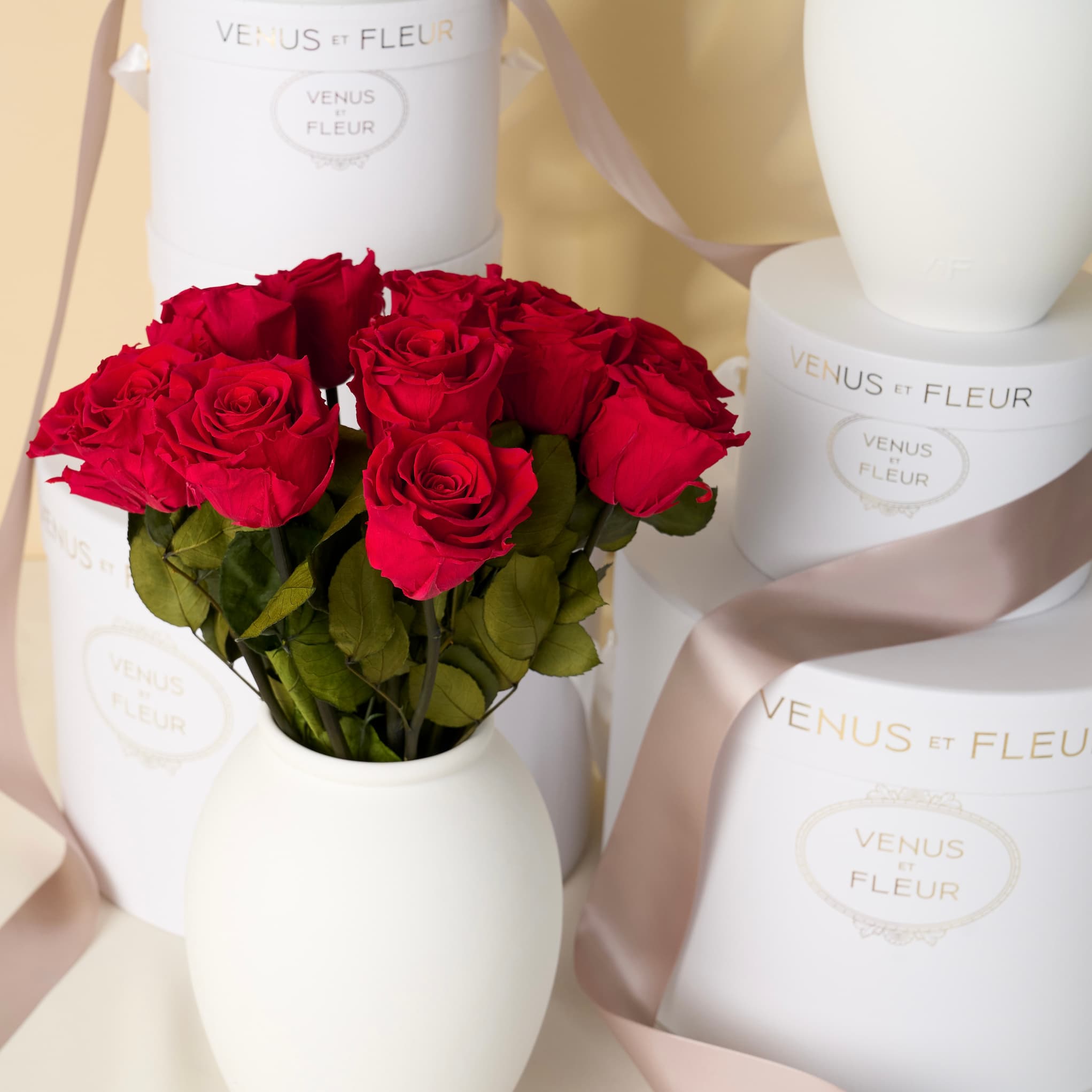 Amphora Vase in White Porcelain with 12 Roses | Venus et Fleur
