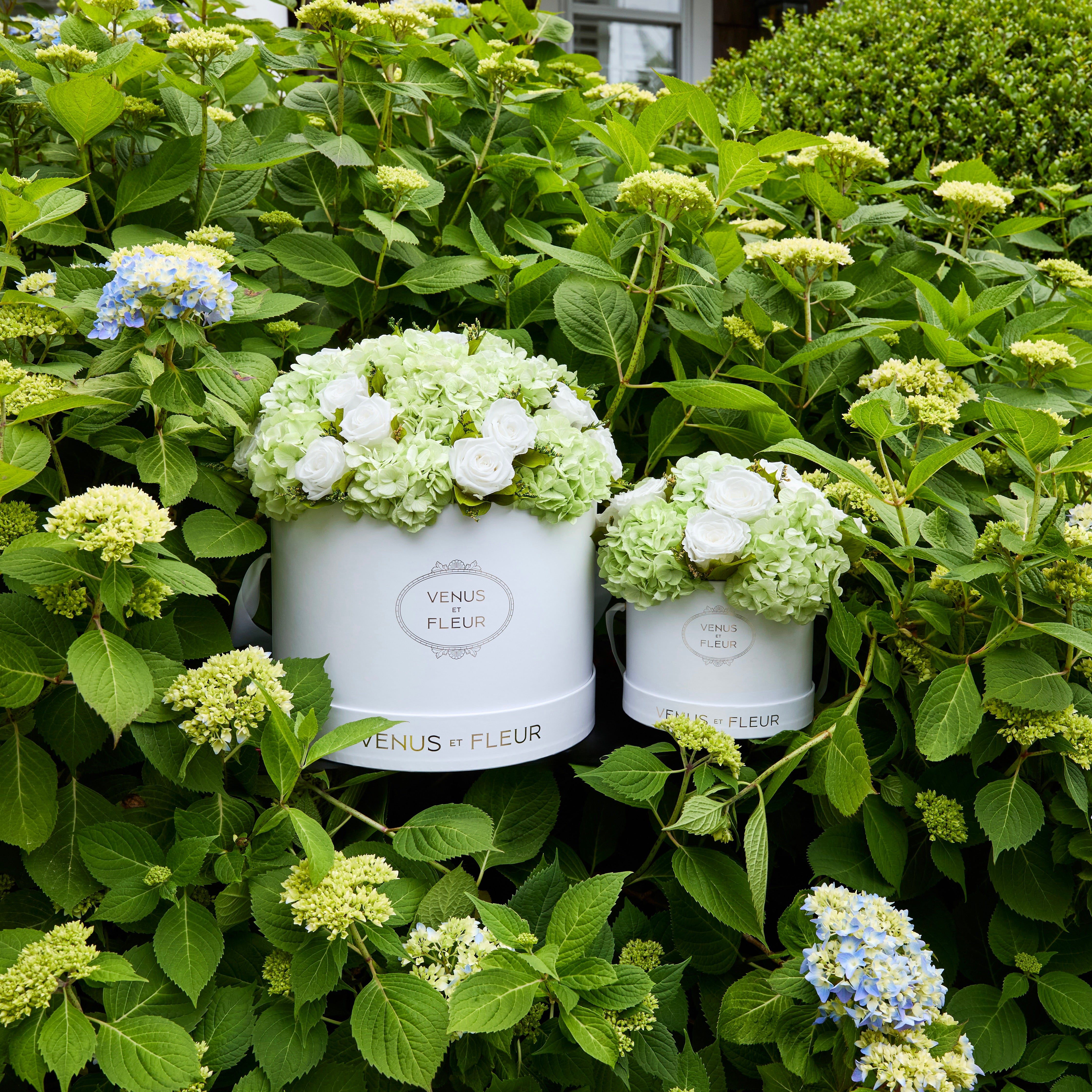 Small Round Roses & Hydrangeas 17