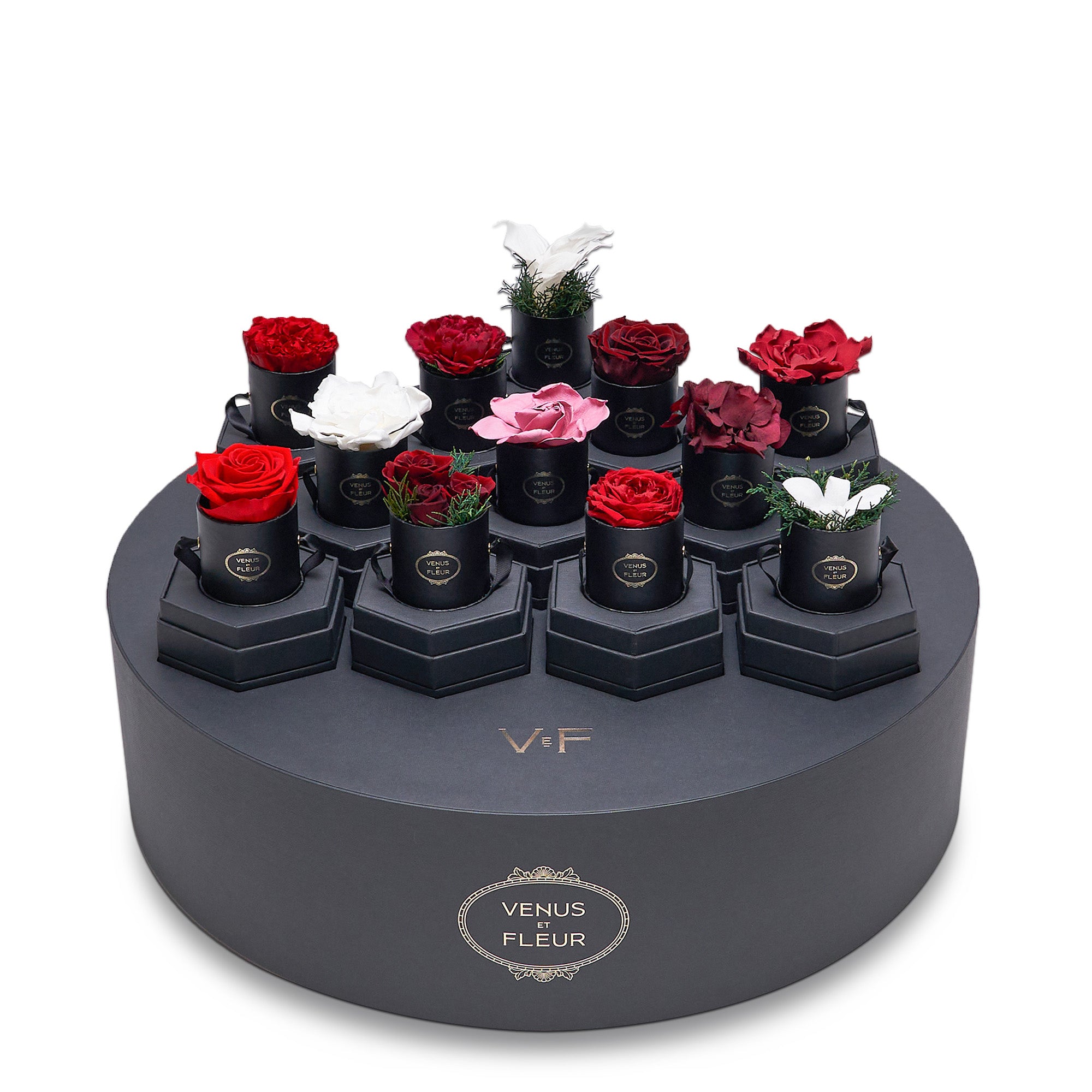 Eternity Garden Advent Calendar