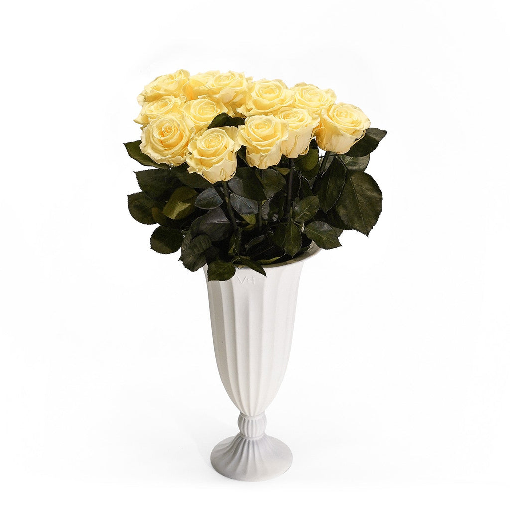 12 Long-Stem Roses in Aphrodite Porcelain Vase