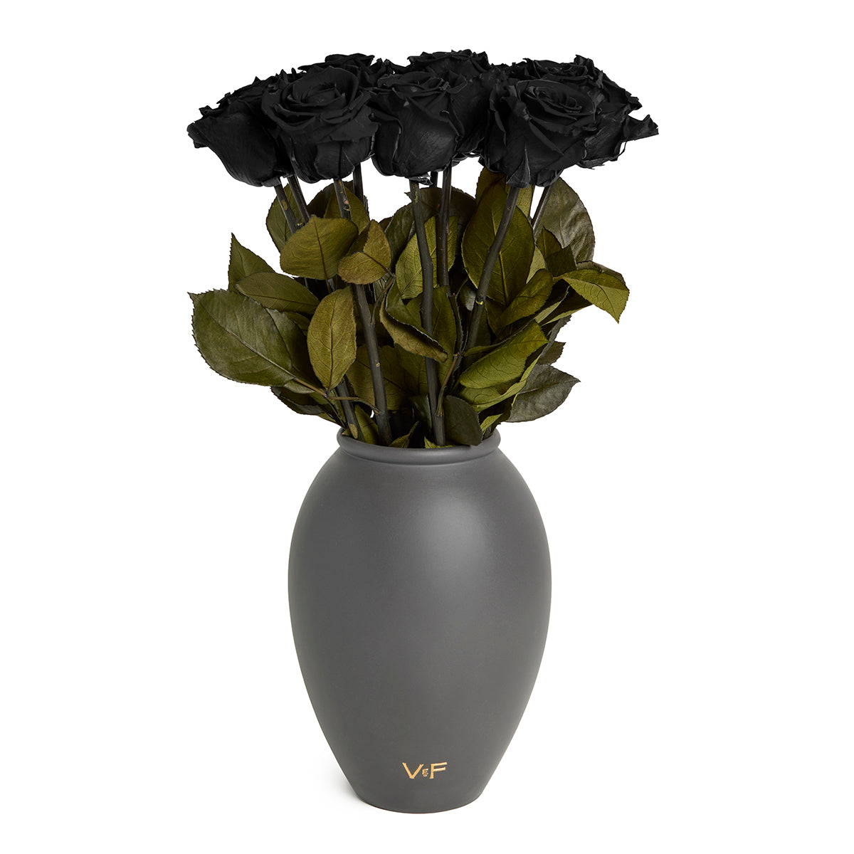 Amphora Porcelain Vase