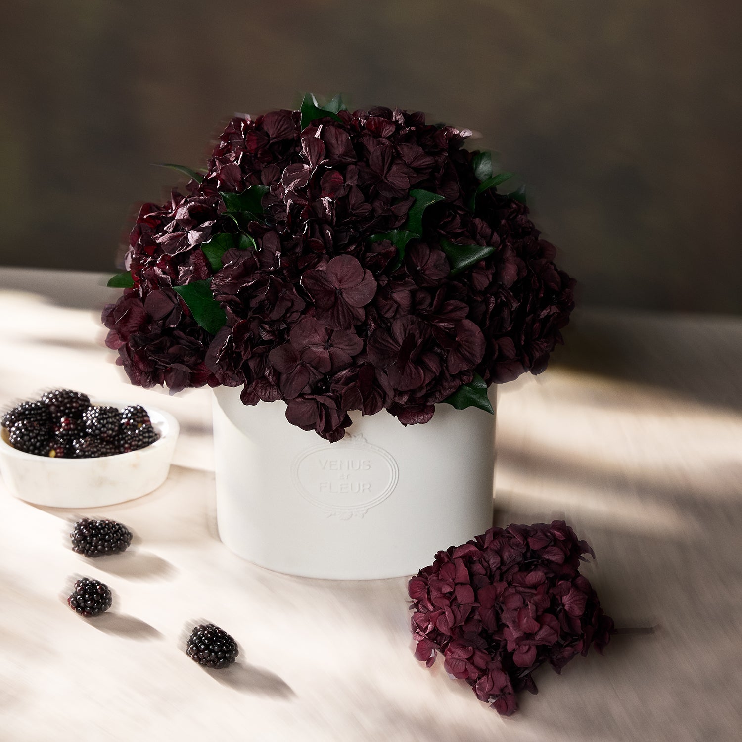 Thalia Porcelain Vase | Preserved Eternity® Hydrangeas – Venus et