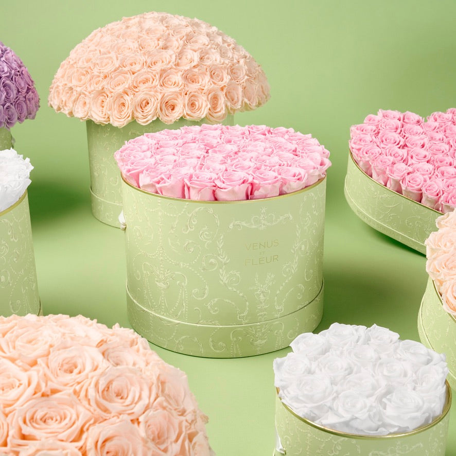 image-with-thumbnail 