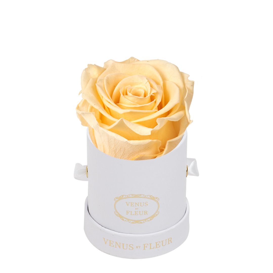 Mini Round Signature White