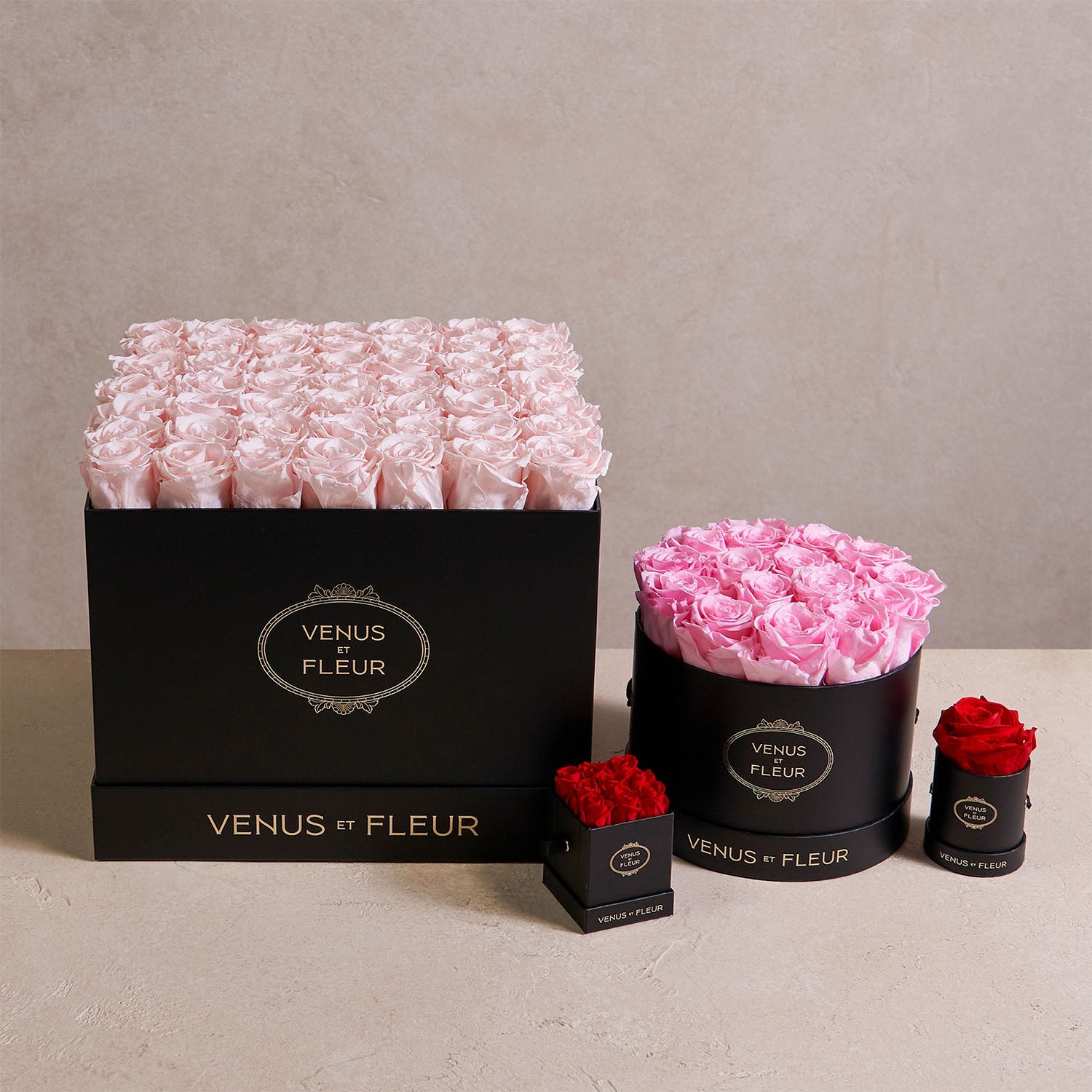 Mini Square Long Lasting Rose Box - Lifetime is Over 1 Year