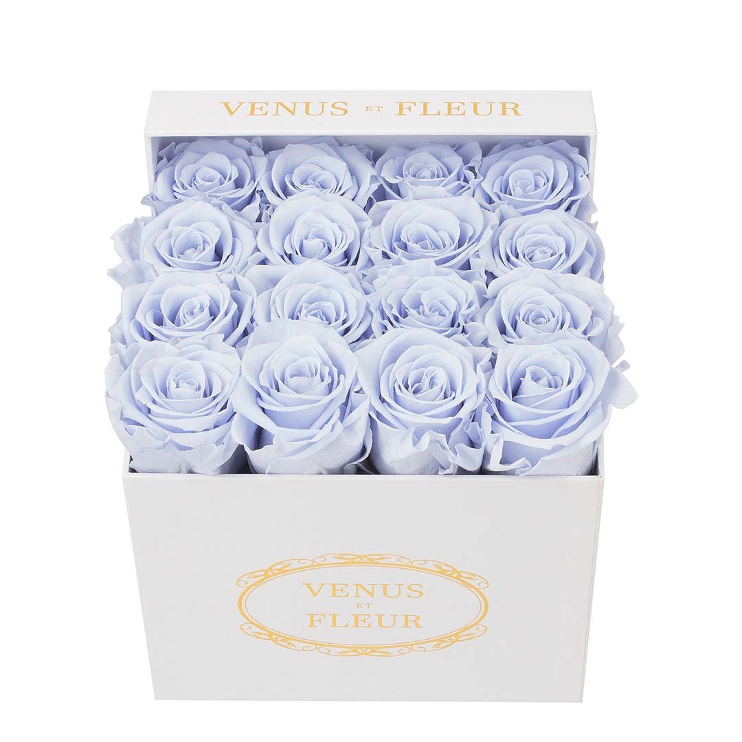 Small Square Signature White