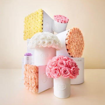 image-with-thumbnail hover image
