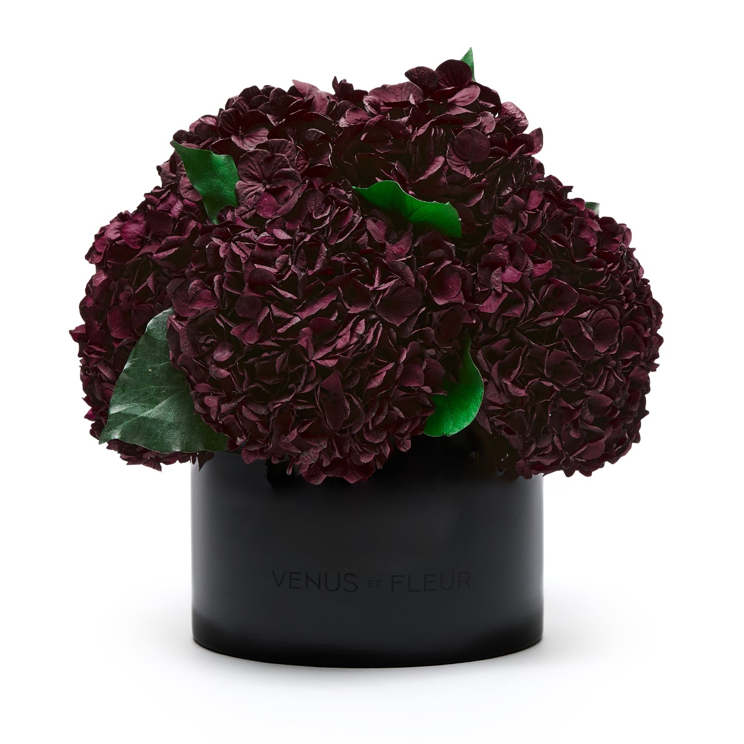 Eau Smoked Glass Vase