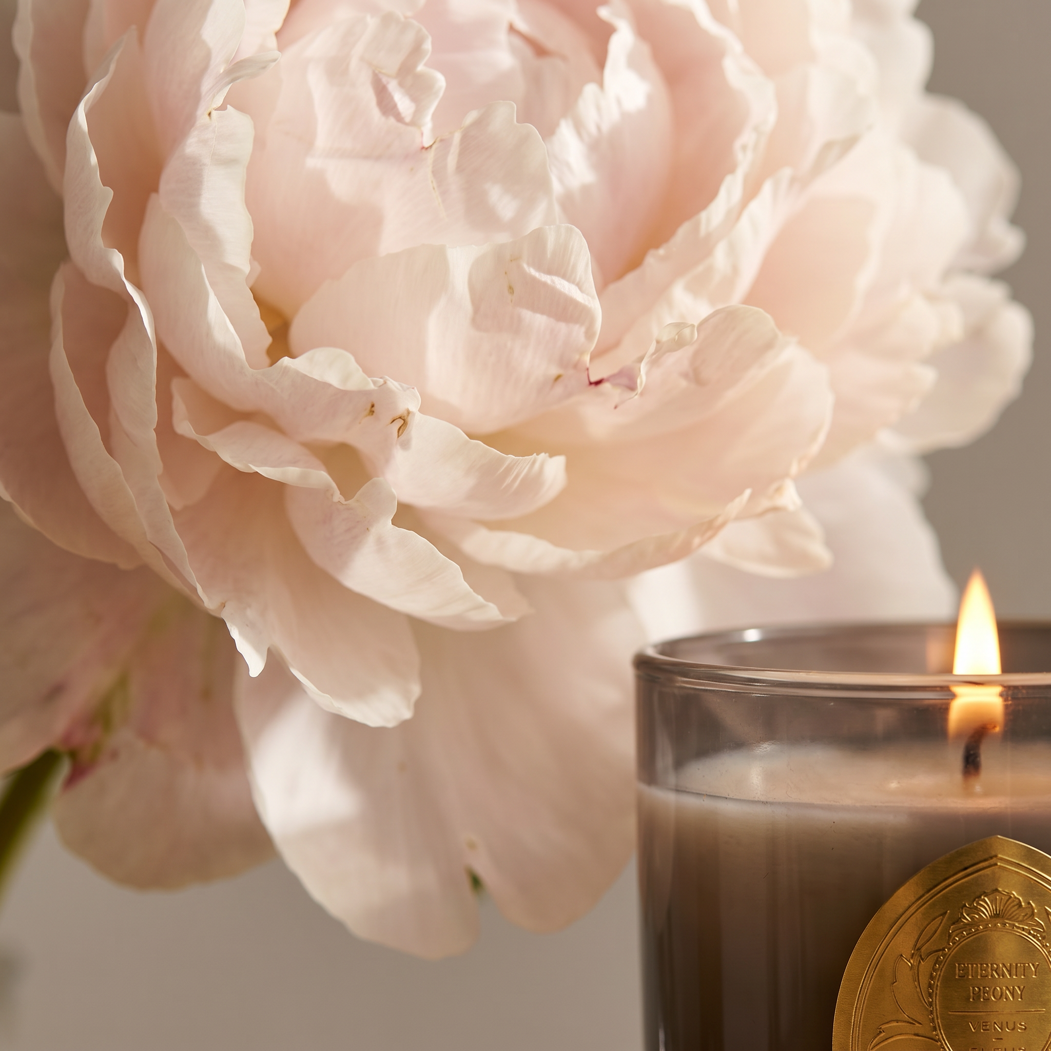 Eternity Peony Candle 7