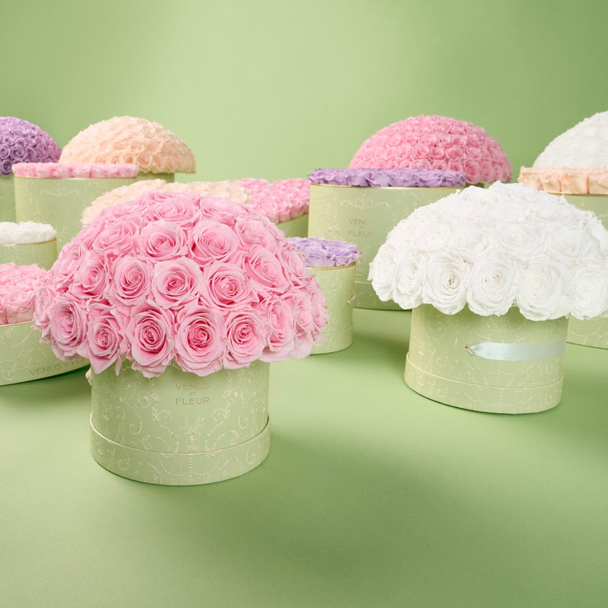 image-with-thumbnail 