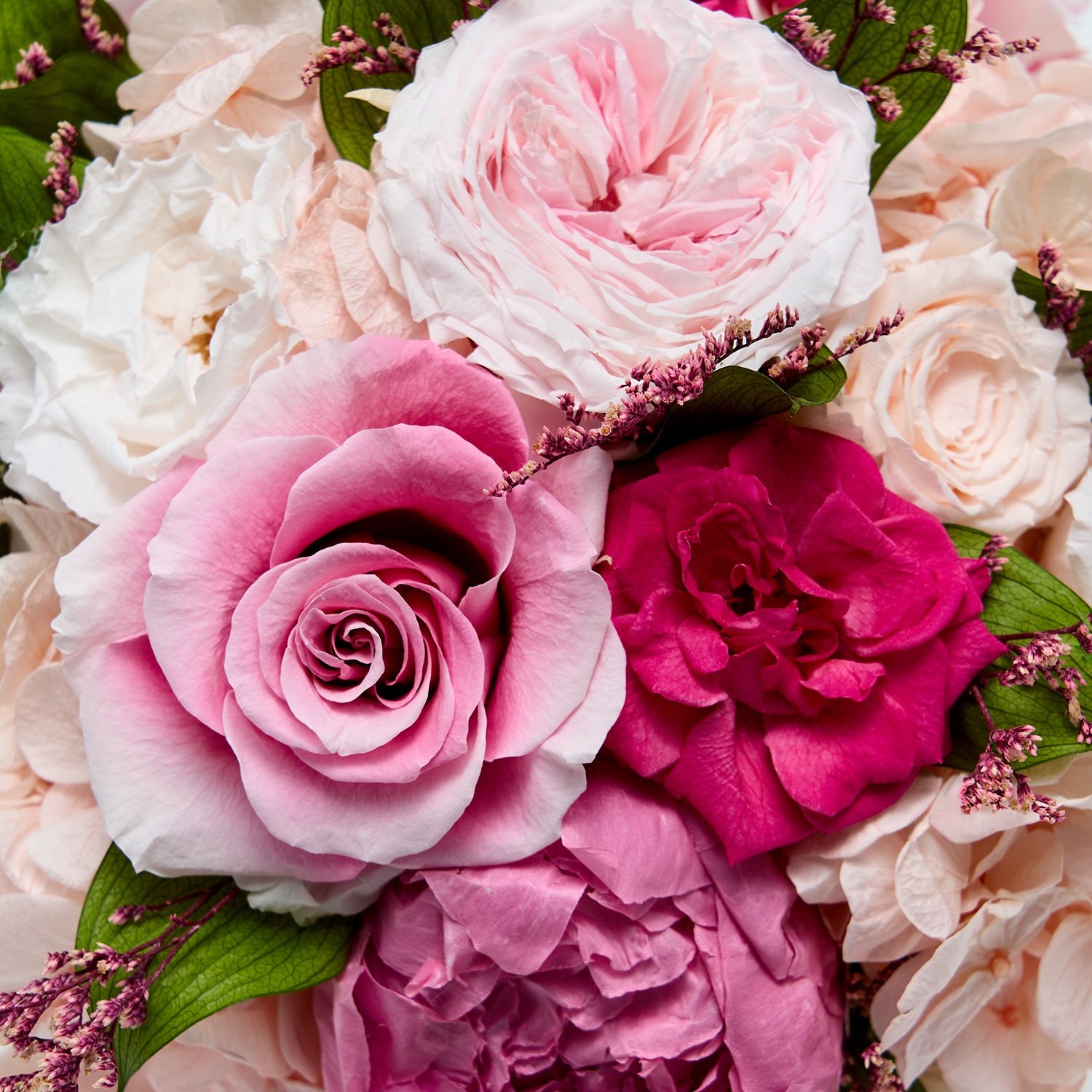 image-with-thumbnail 