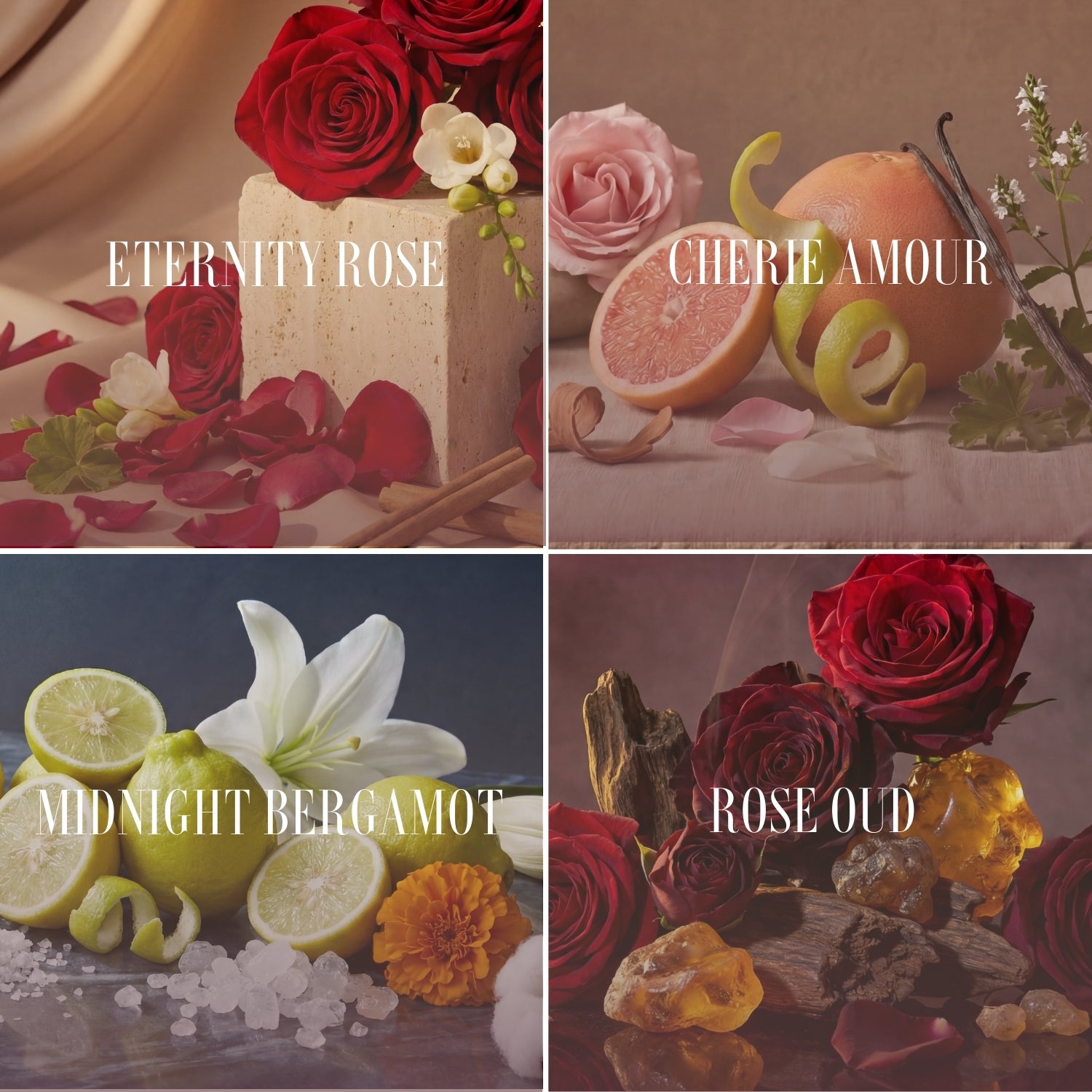 Luxury Fragrance Diffuser | Venus et Fleur
