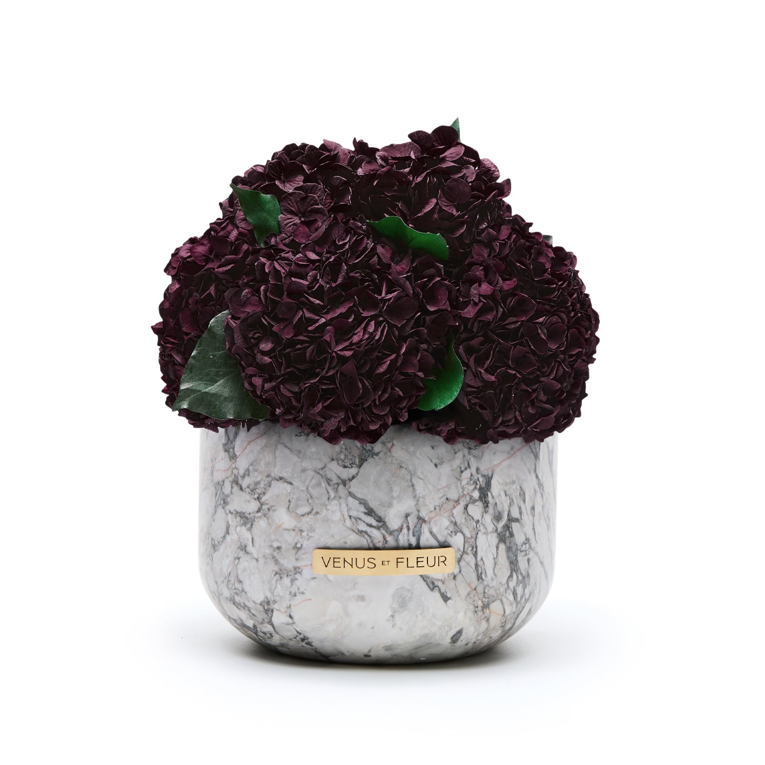Gia Marble Vase with Eternity Hydrangeas | Venus et Fleur
