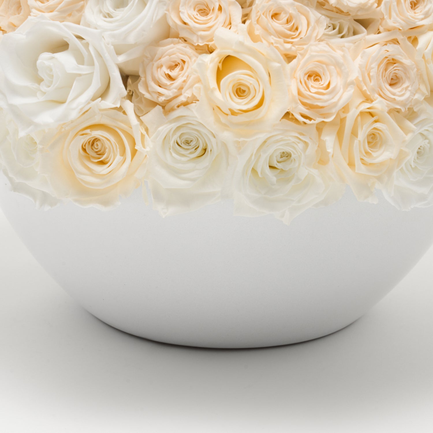 Grand Bol à Roses 2