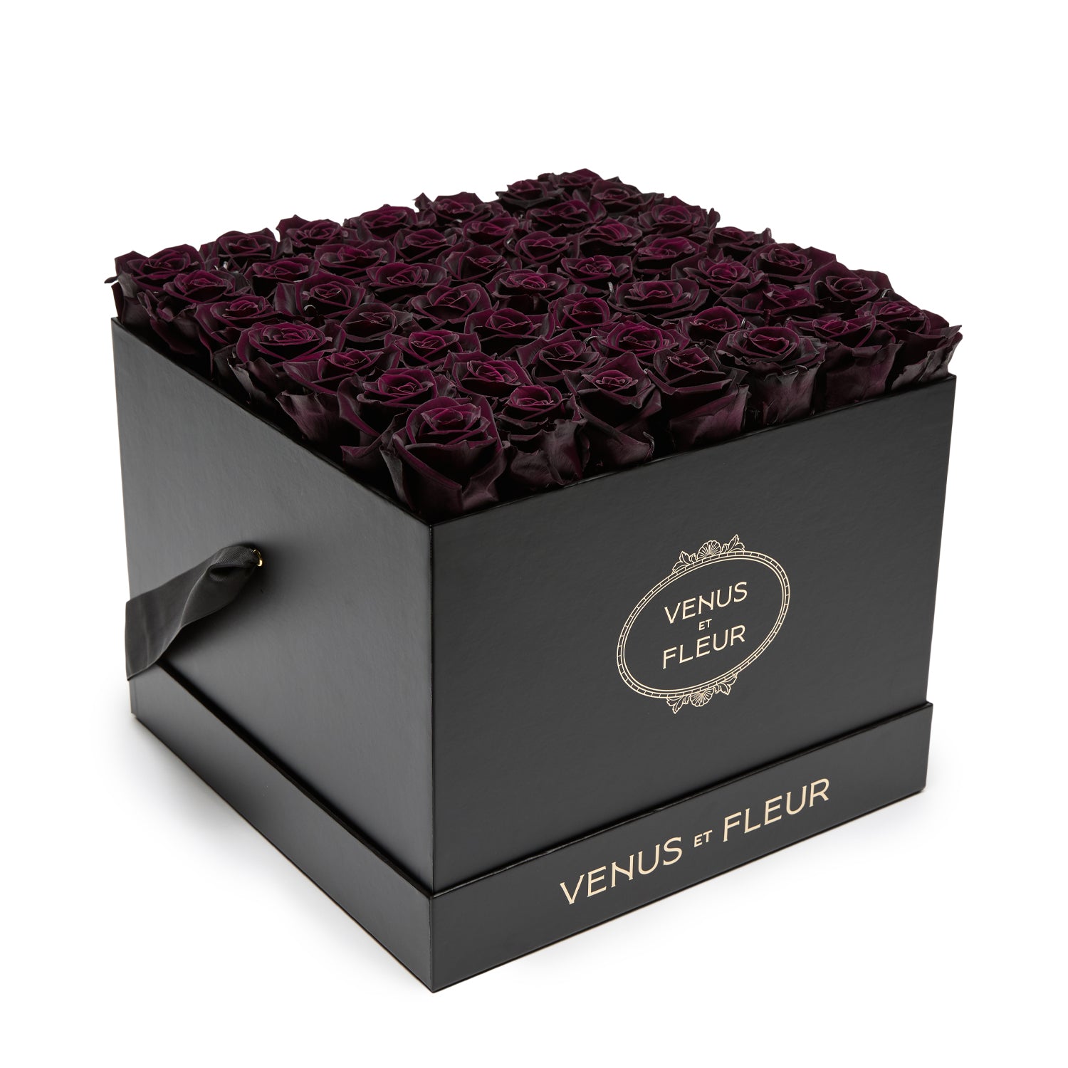 image-with-thumbnail description 