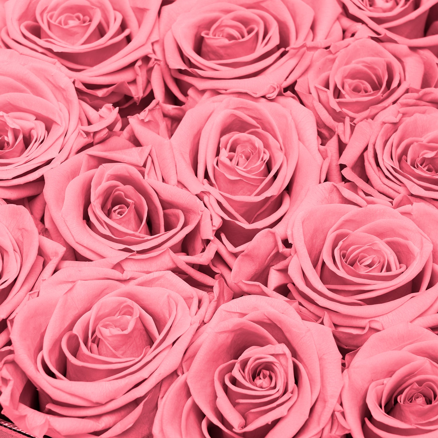 image-with-thumbnail description