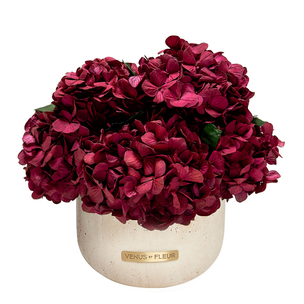 Terre Travertine Vase Hydrangeas with Burgundy Eternity® Hydrangeas