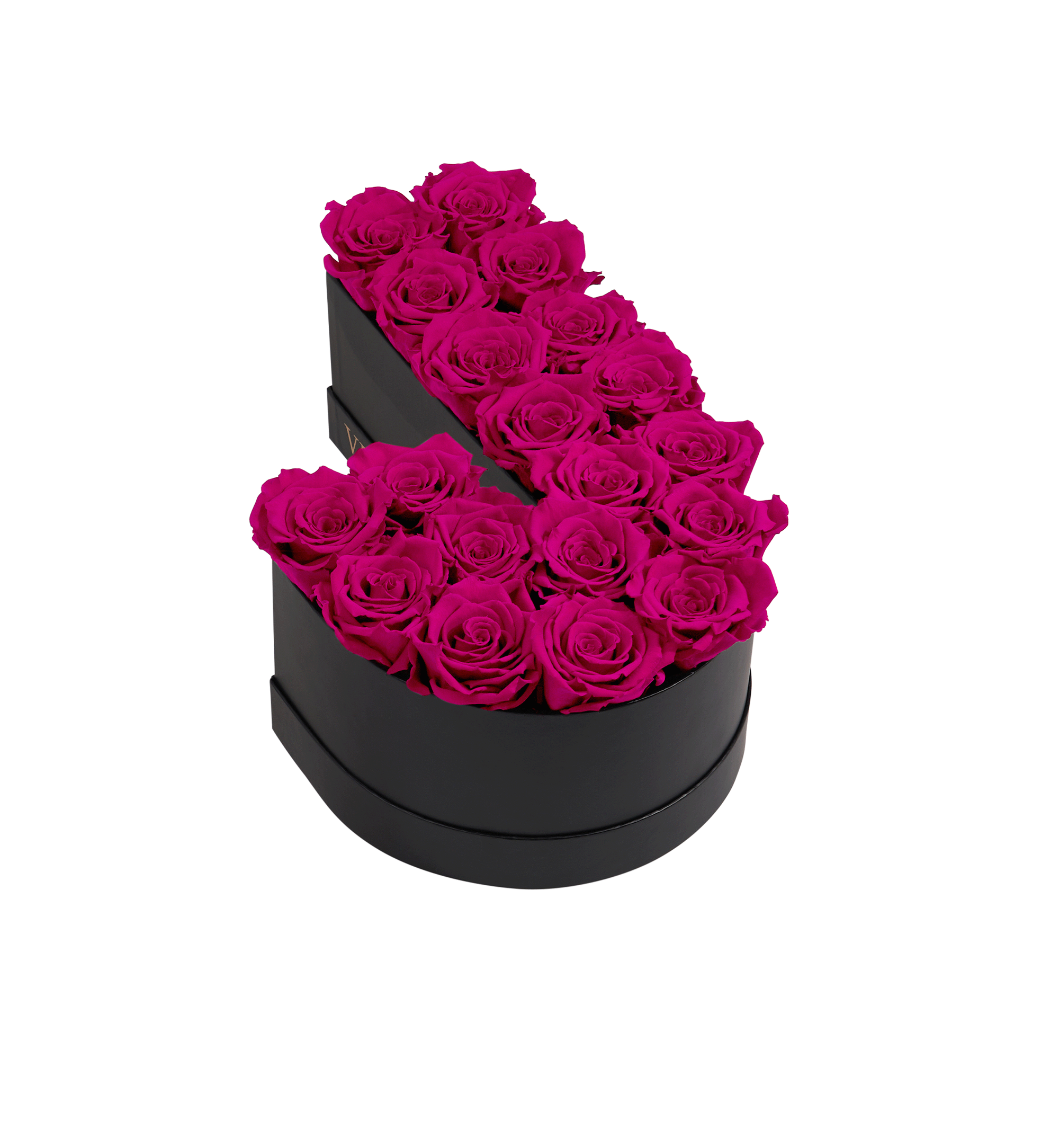 洋書 FLEURS et ALPHABETS FLEURIS 7+ Thousand Alphabet Floral Font Z Royalty-Free Images