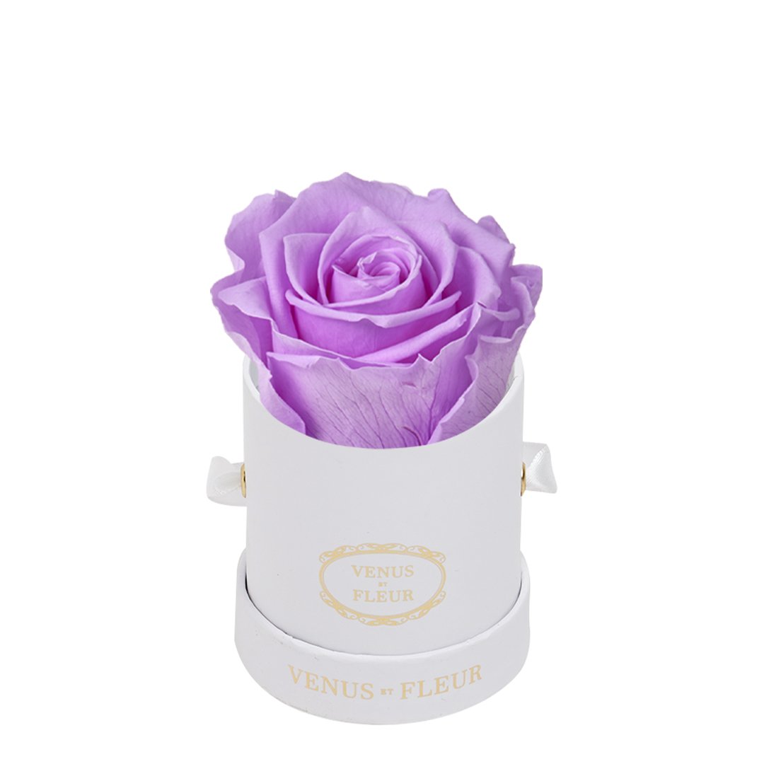 Mini Round Signature White