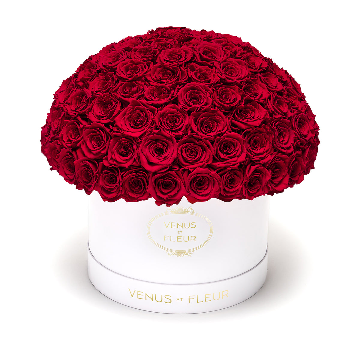 Large Le Plein White Classic with Red Eternity® Roses (2)