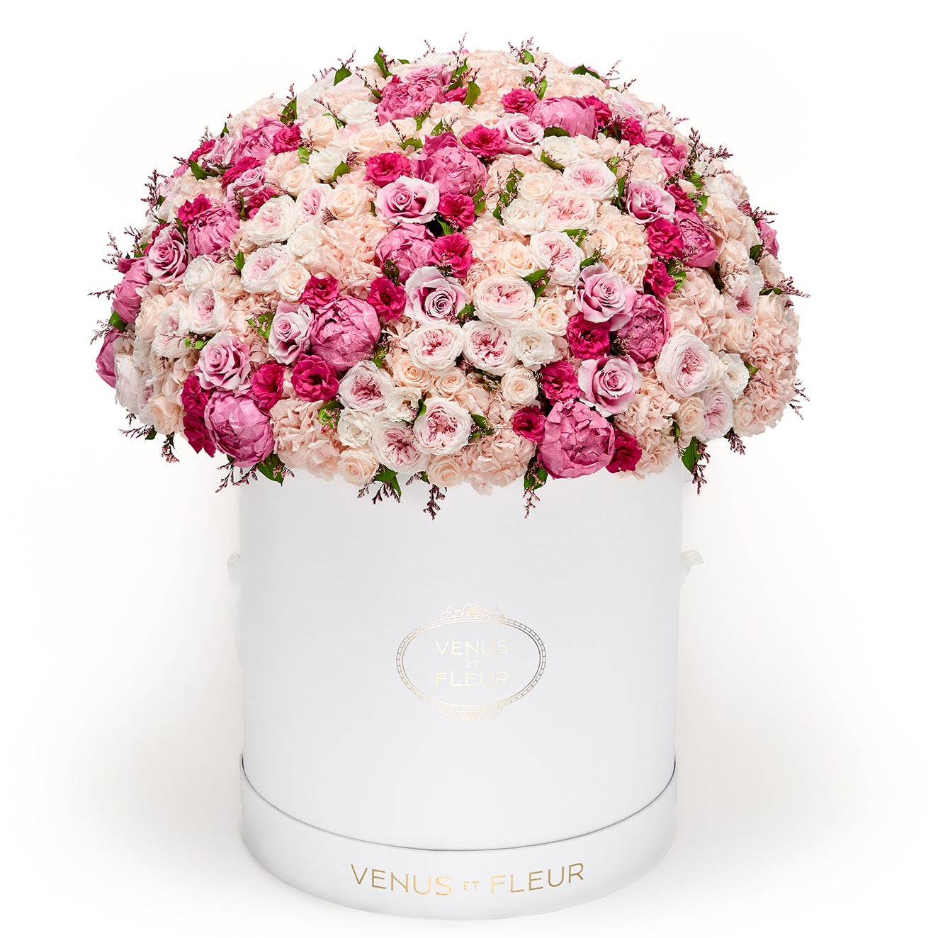 Peony d' Amour Grandiose Le Plein