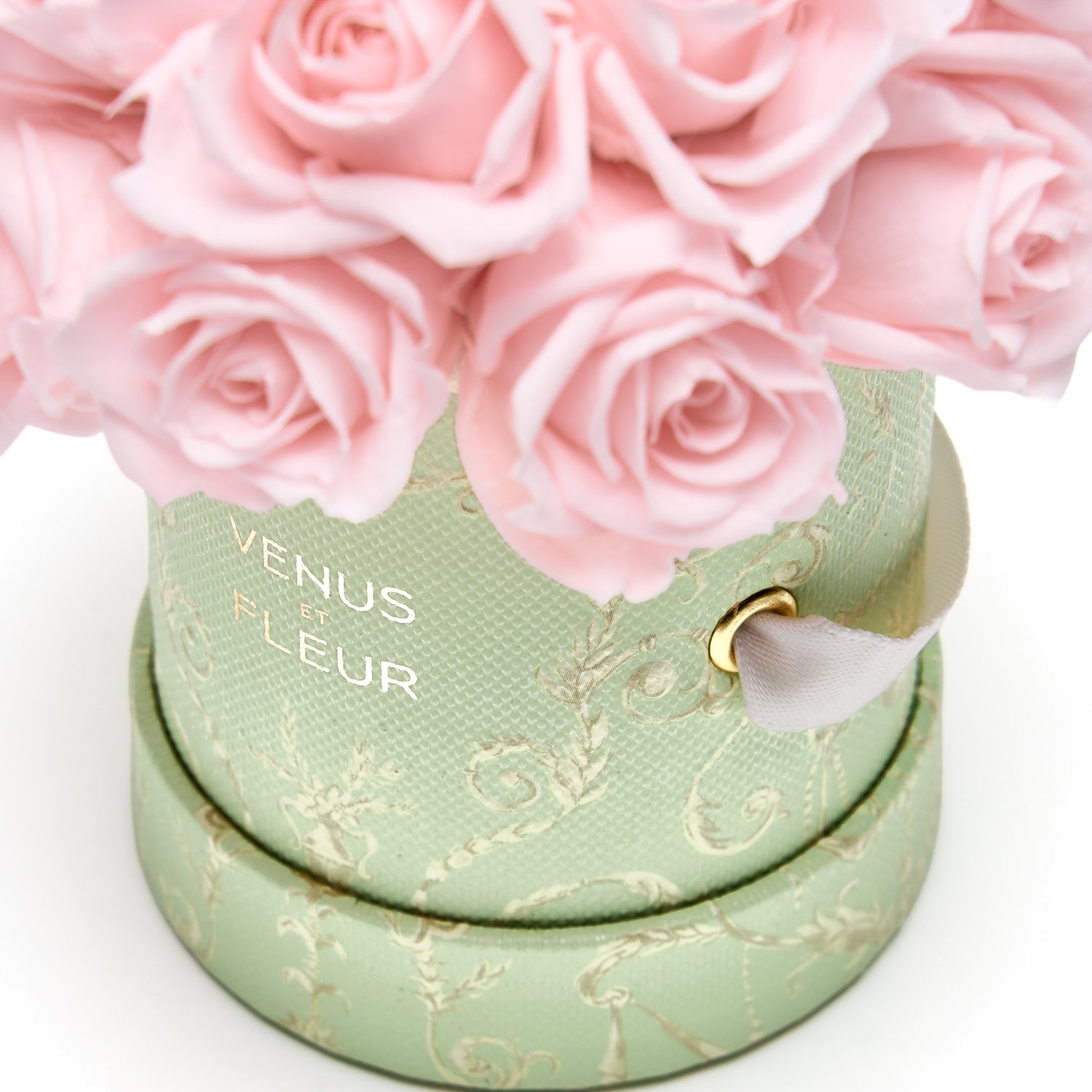 image-with-thumbnail 