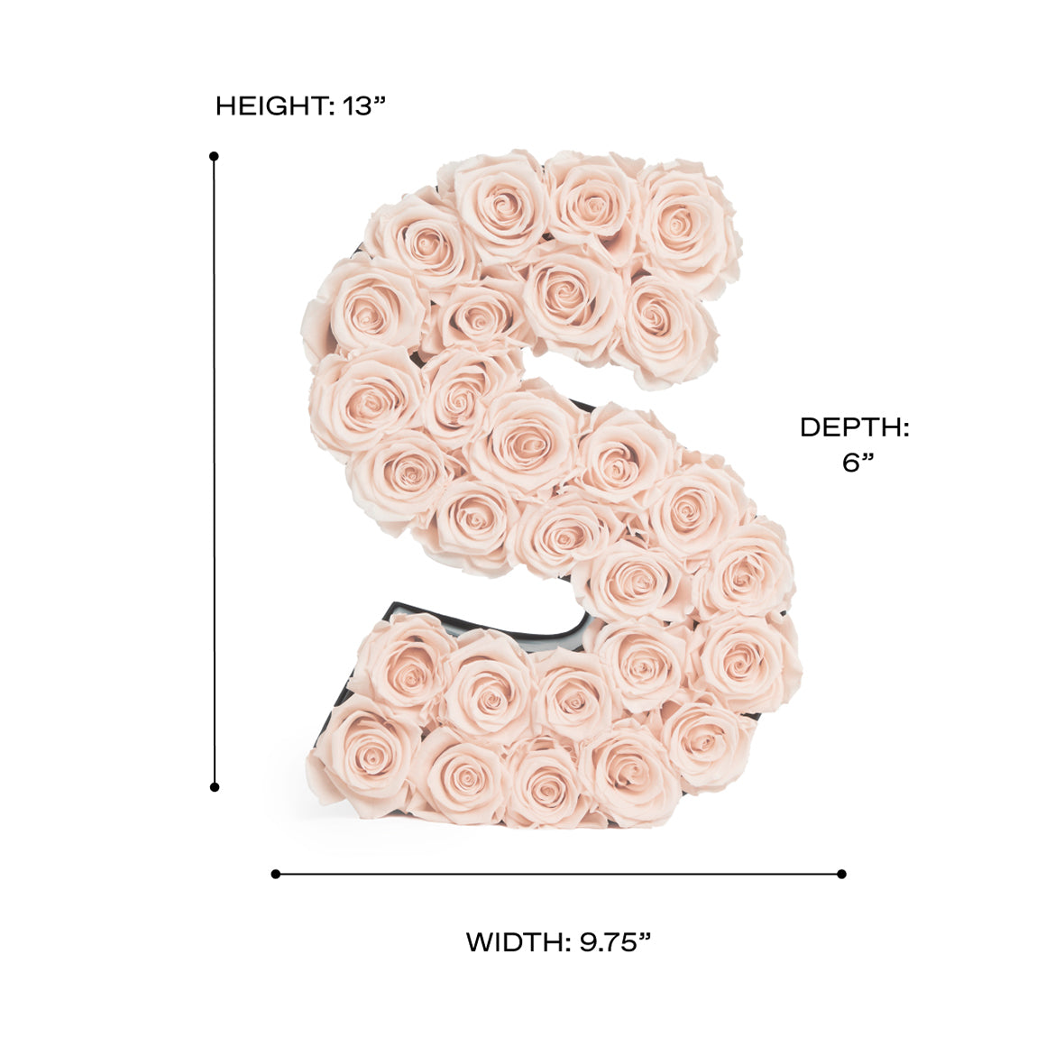 LeGrandLetter_S_Scale.jpg?v=