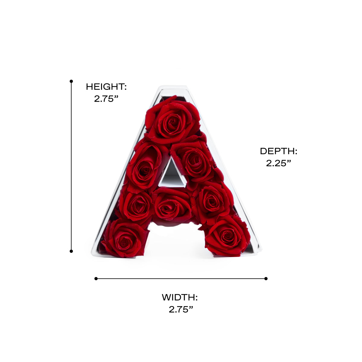 Le Mini Letter - A 11