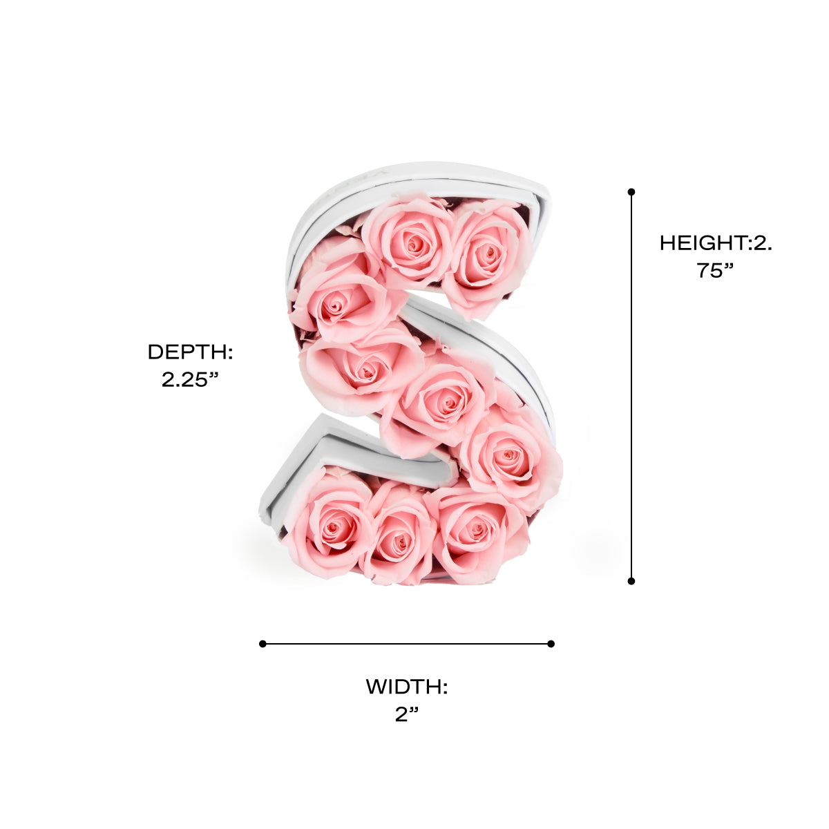 Le Mini Letter - S 12