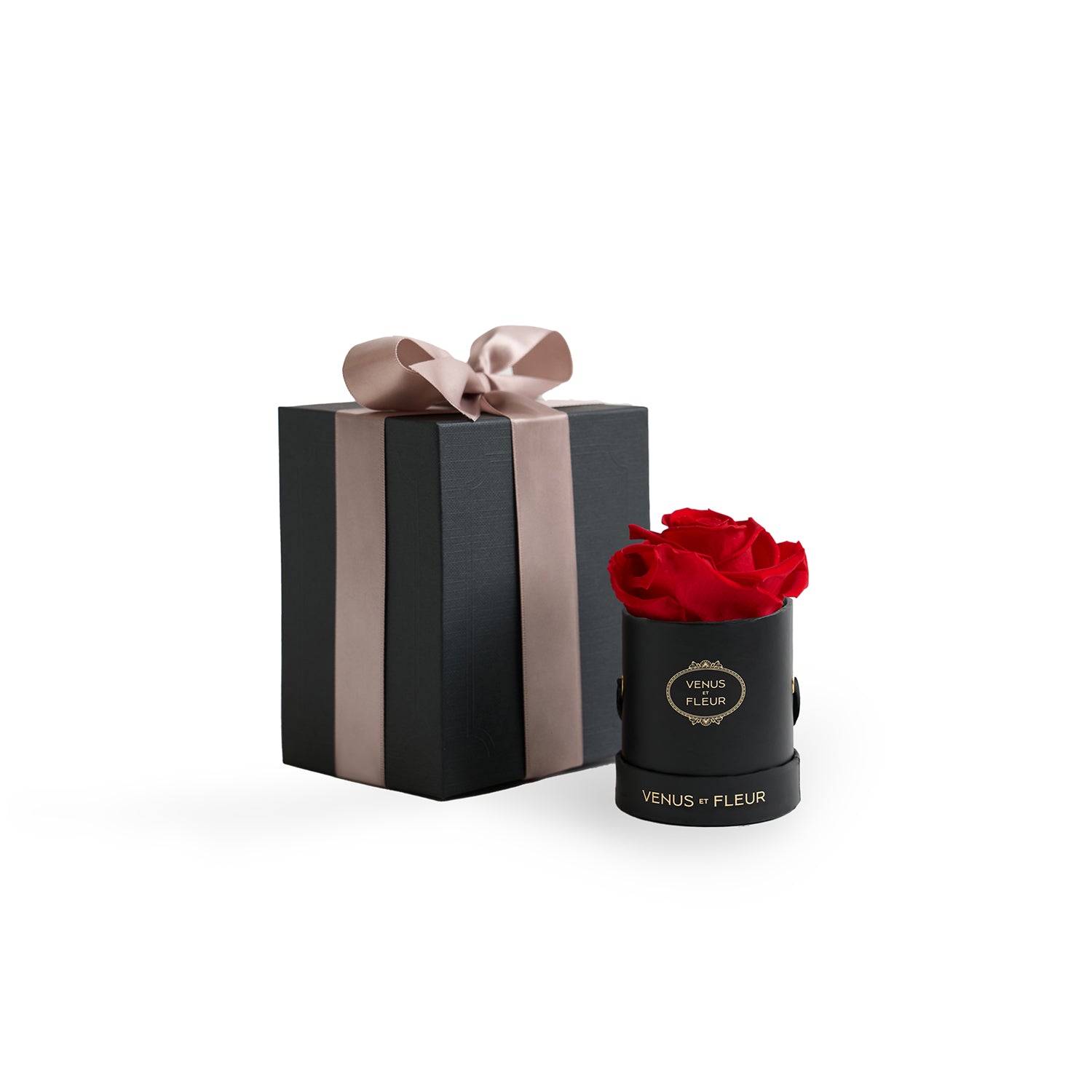 Mini Round Black Box with Eternity Roses | Venus et Fleur