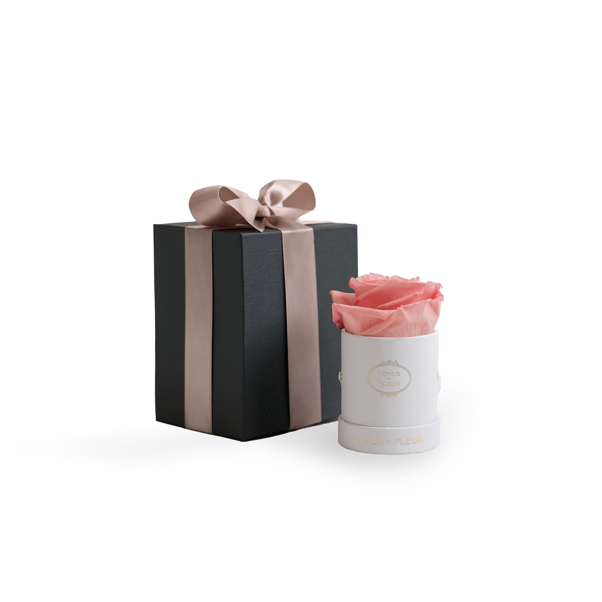 Mini Round White Box with Eternity Roses | Venus et Fleur