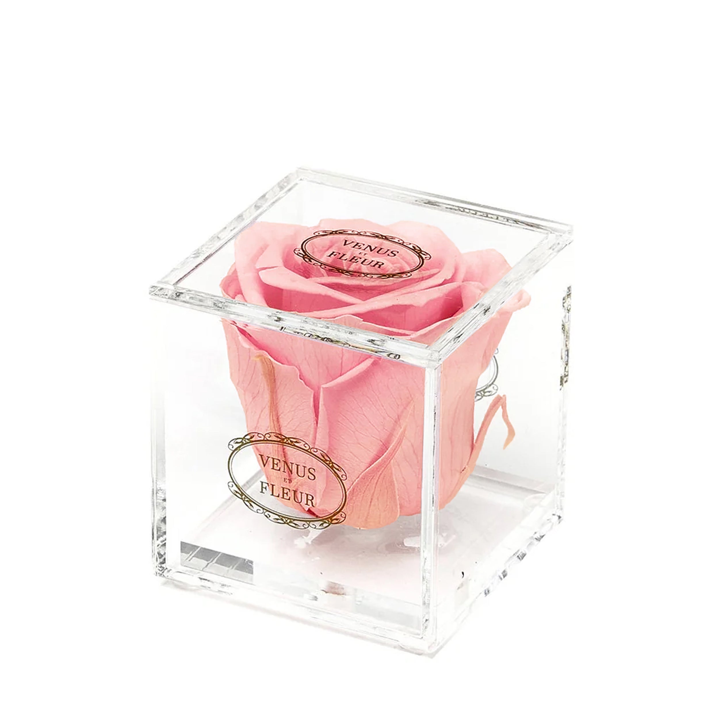 Luxury Eternity® Roses & Preserved Rose Bouquets | Venus et Fleur