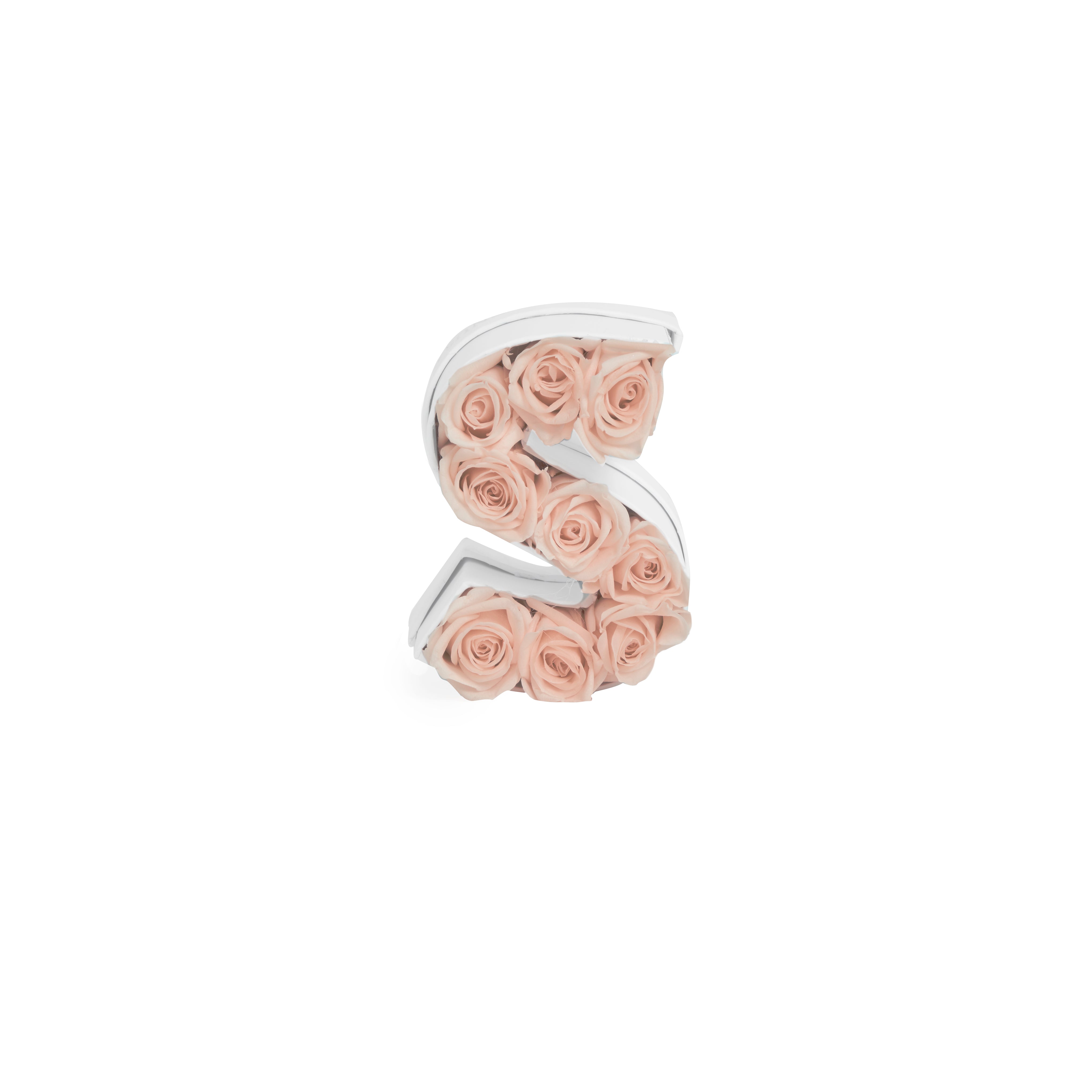 Le Mini Letter - S 4
