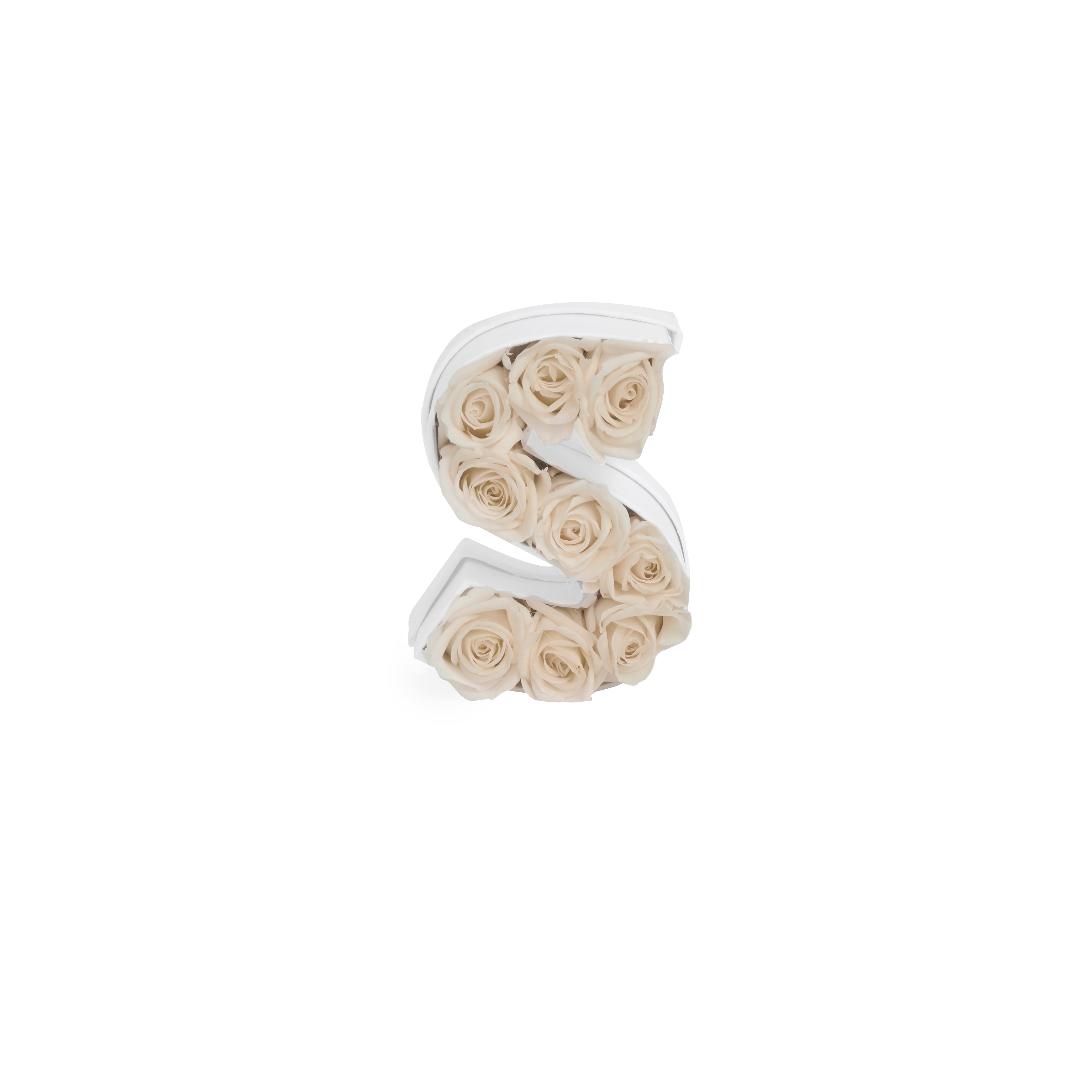 Le Mini Letter - S 1
