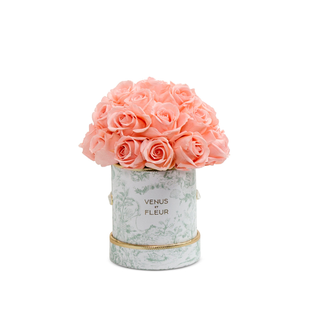 Mini Le Plein, Toile du Joie, Pink, 15-27 Eternity Roses, Venus et Fleur