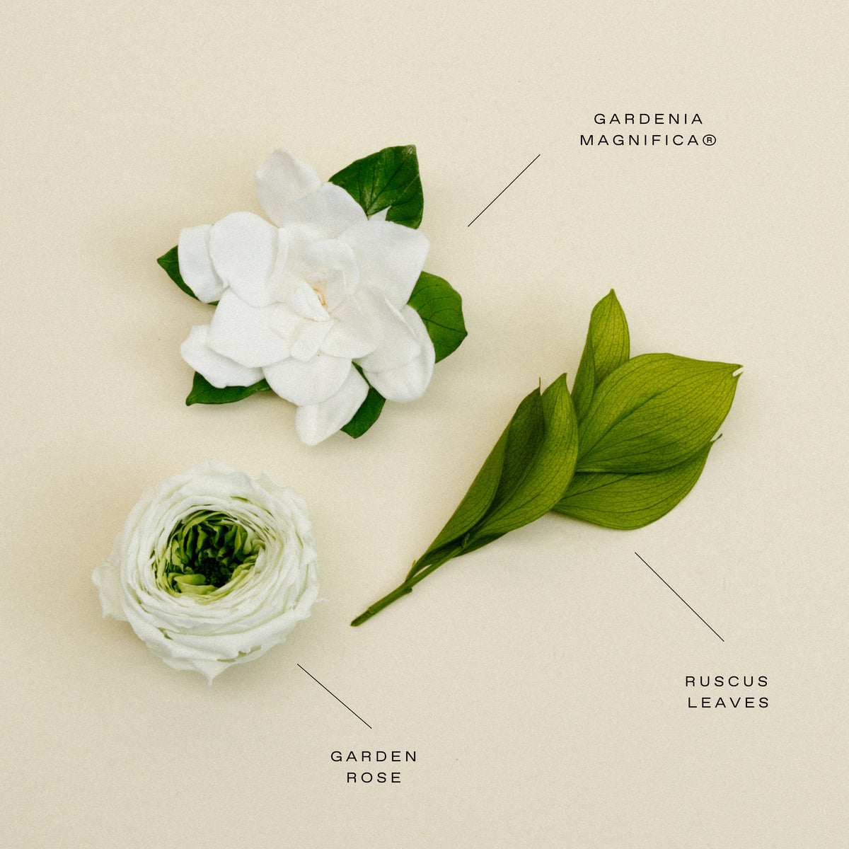image-with-thumbnail