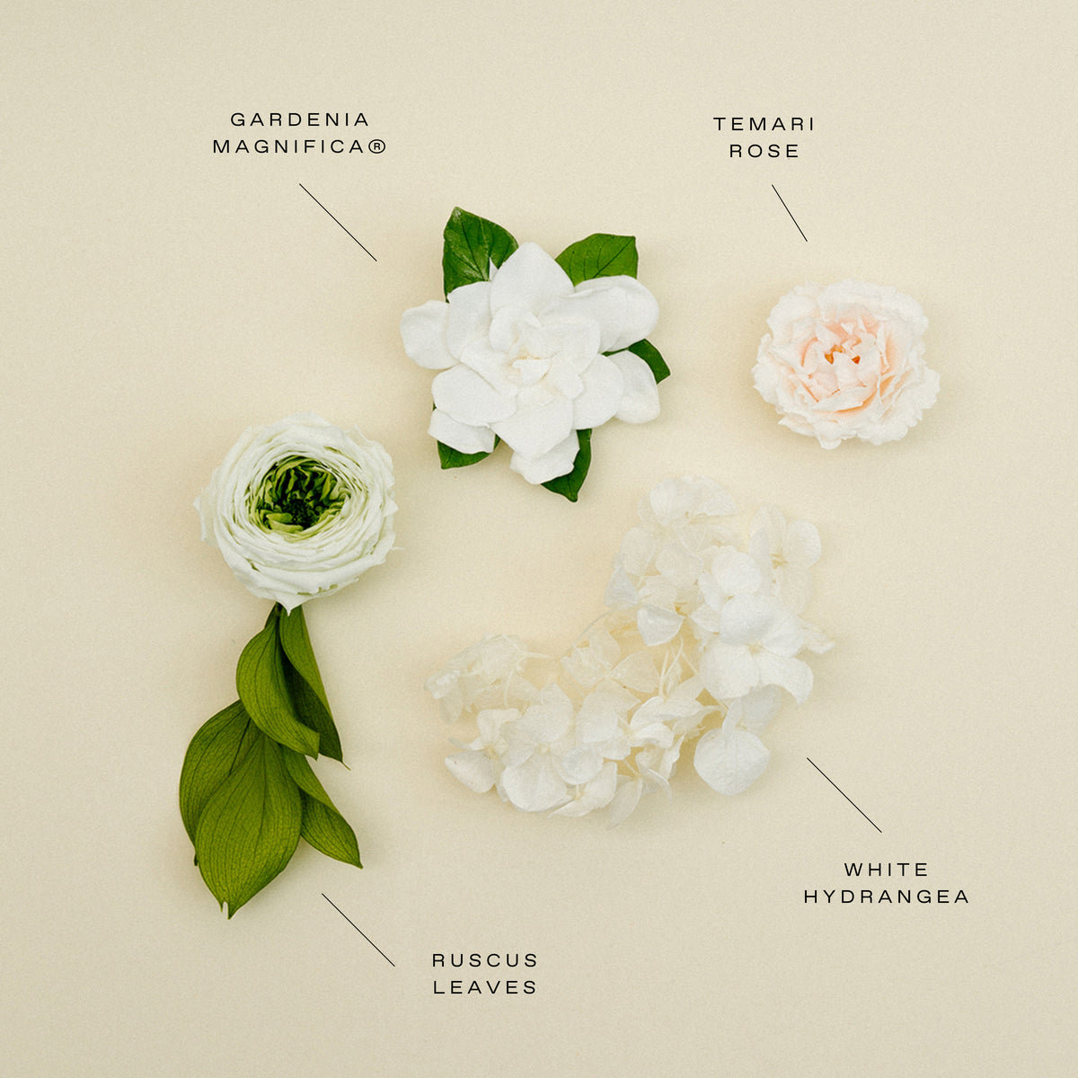 image-with-thumbnail