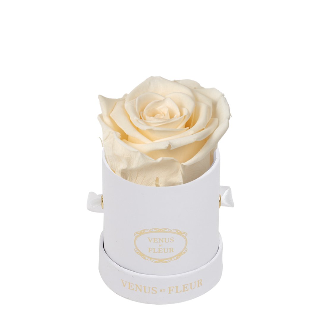 Mini Round Signature White