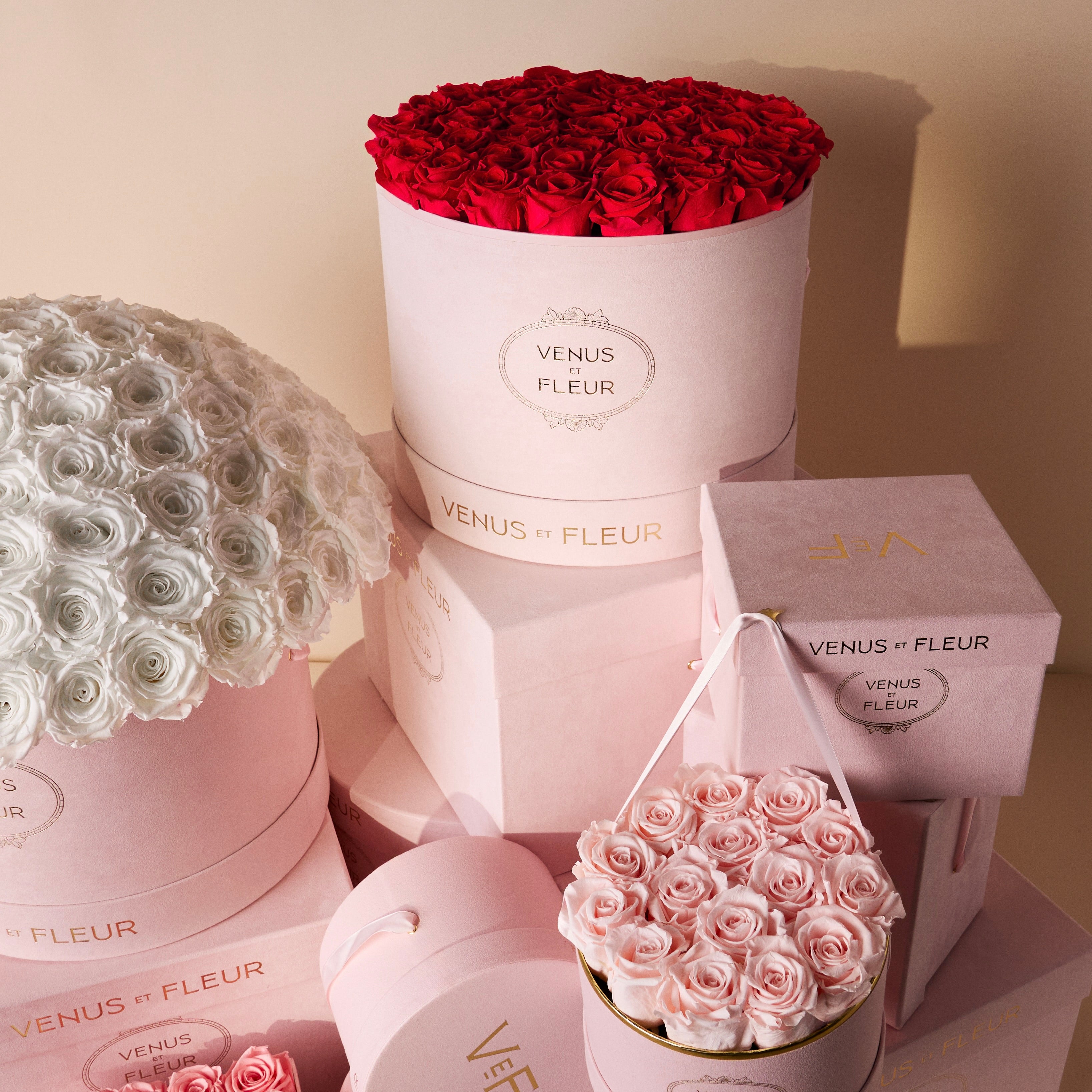MAY ROSE パフュームパウダー MAY ROSE パフュームパウダー Everything about the scent note May Rose