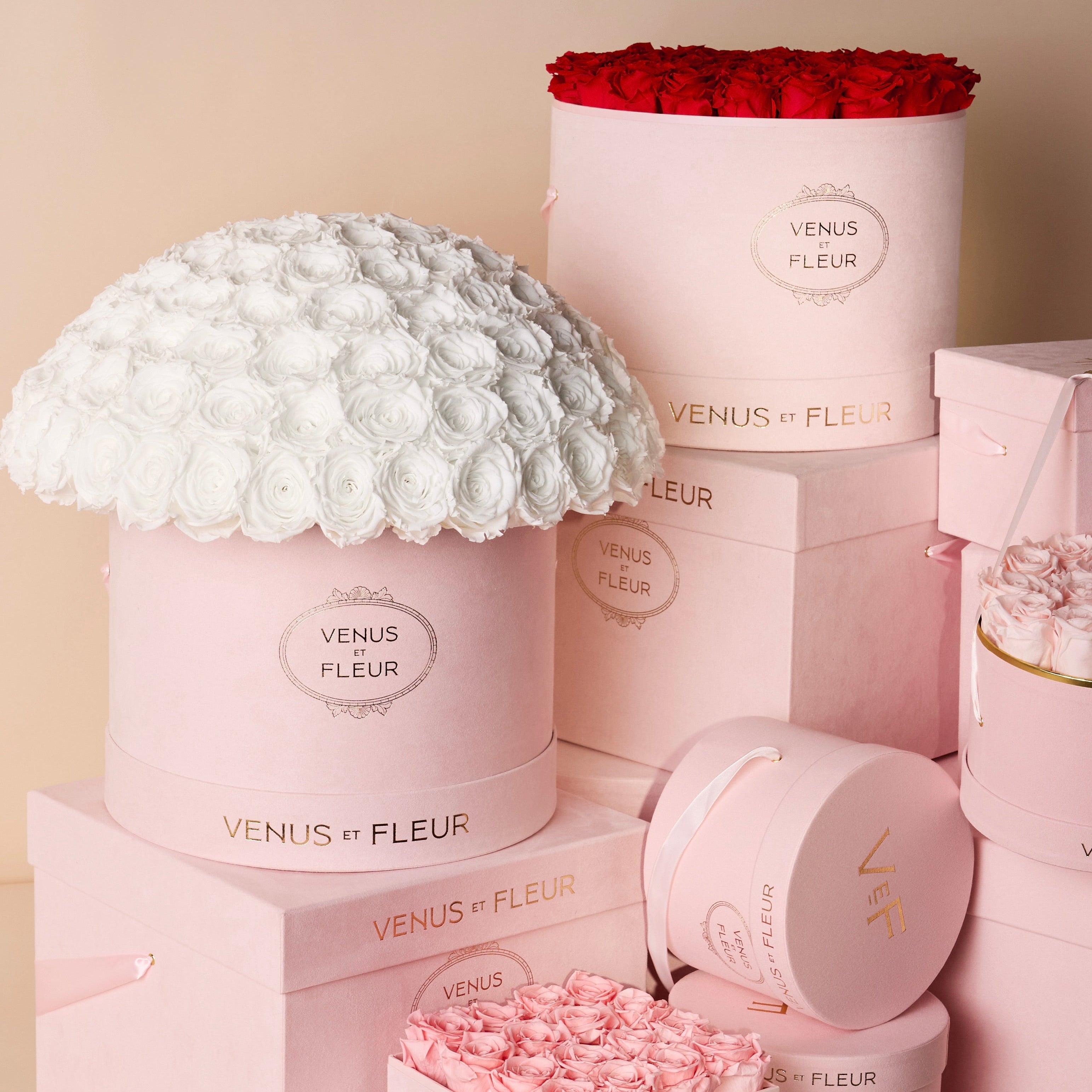 Le Plein with 150 Roses in Blush Hatbox | Venus et Fleur