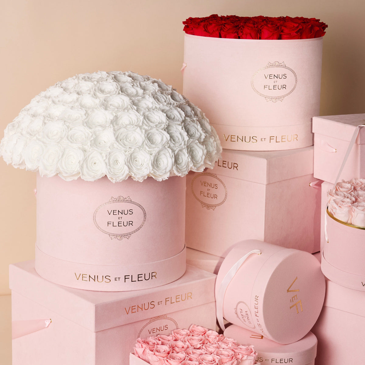 Large Le Plein Blush Suede with Eternity® Roses