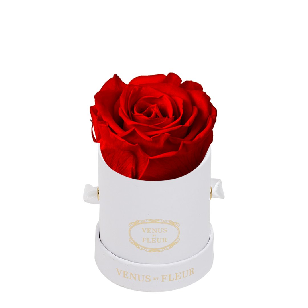 Mini Round Signature White