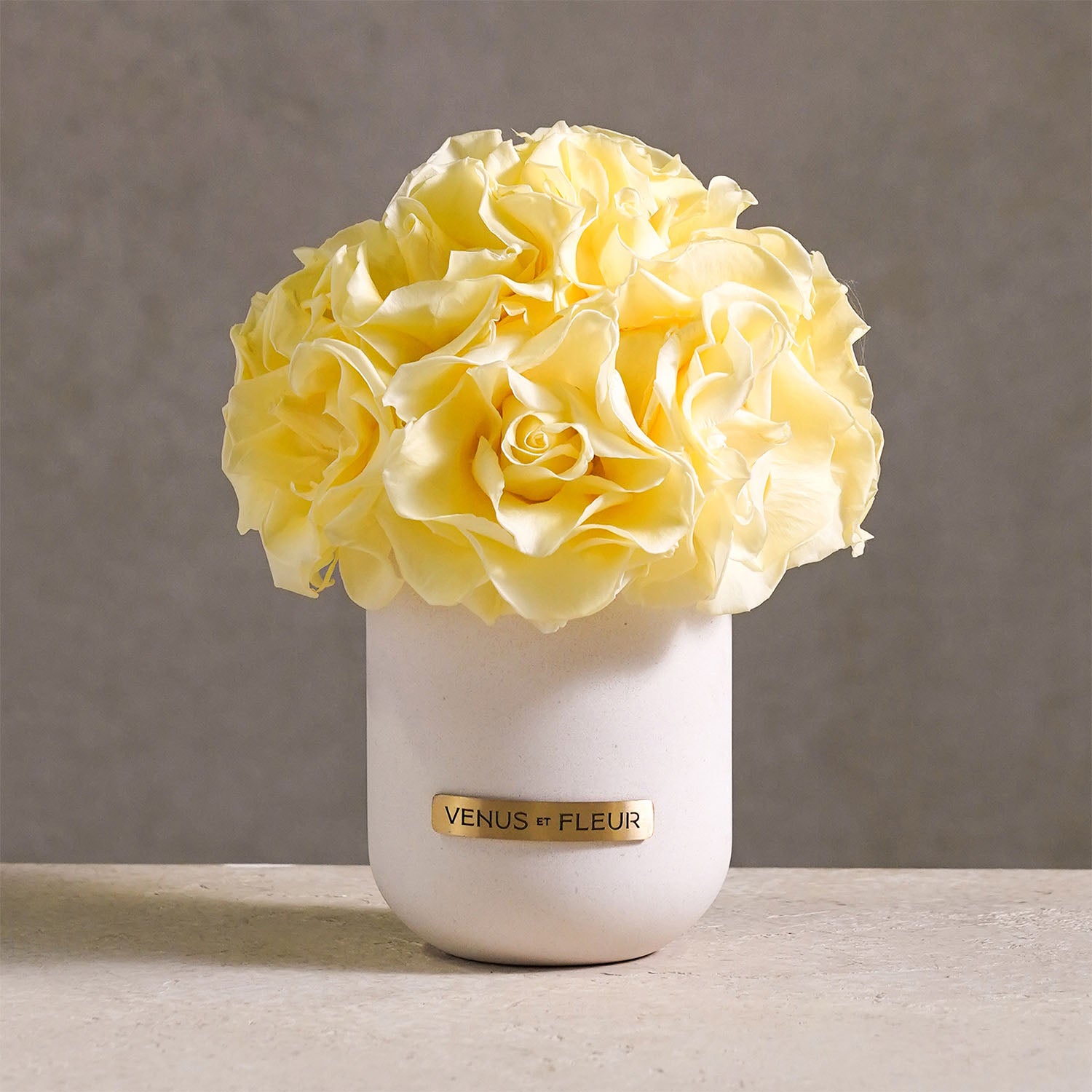 Luxury Eternity ® Roses | Preserved Roses by Venus et Fleur