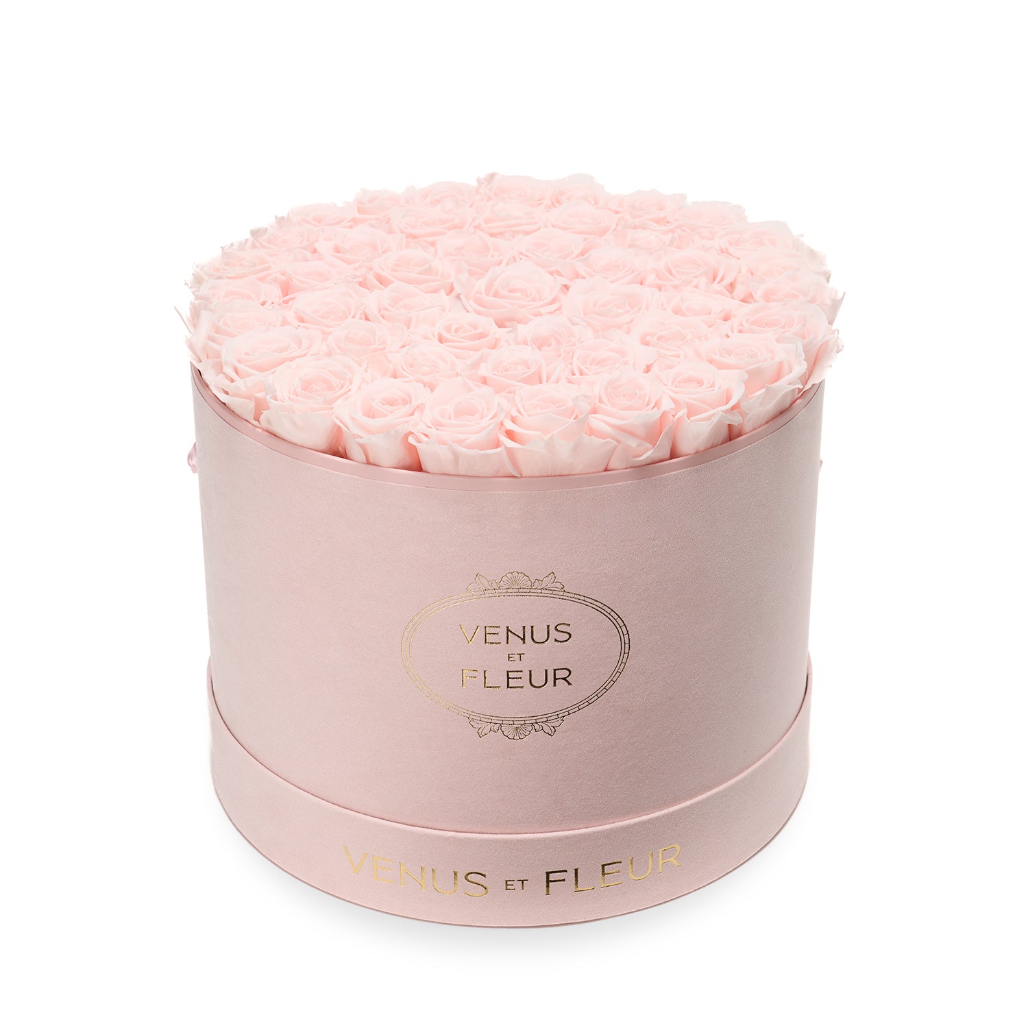 Large Round Blush Suede Box | Eternity Roses | Venus et Fleur