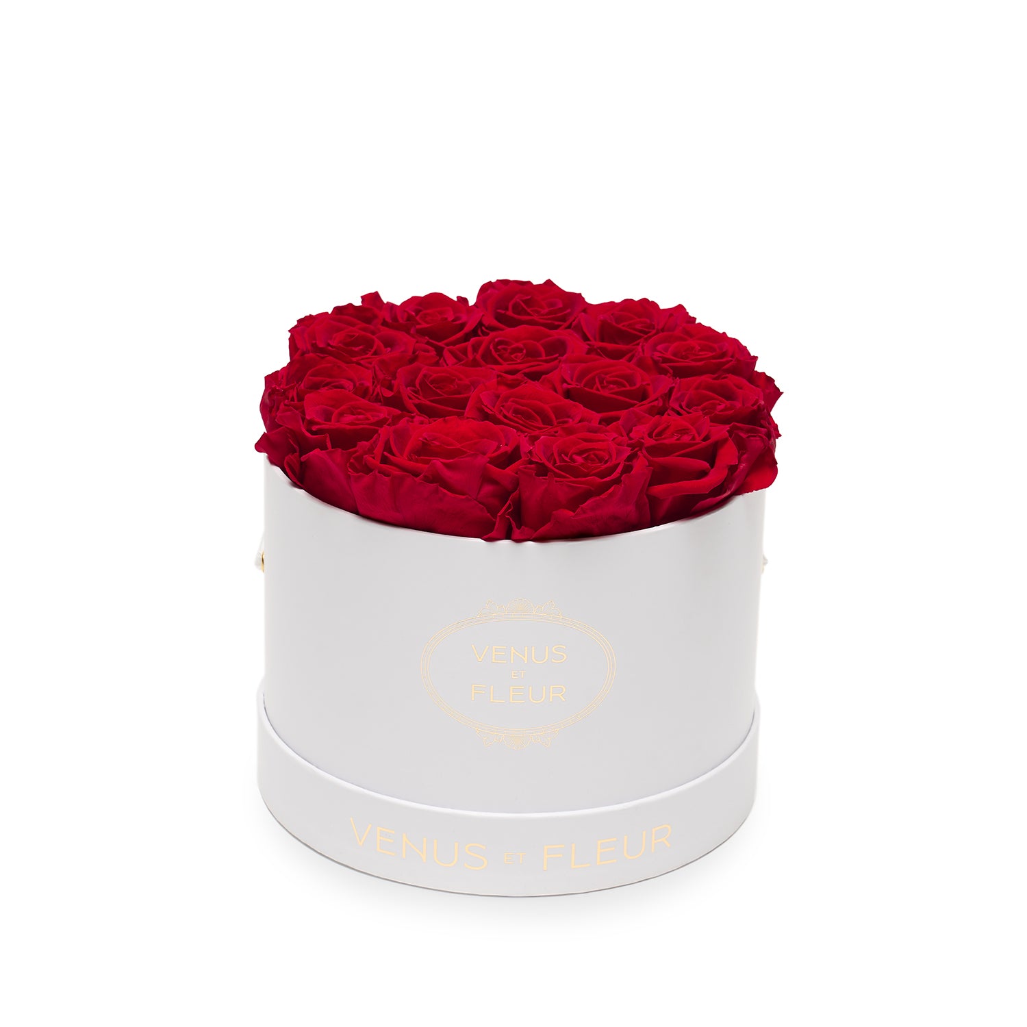 image-with-thumbnail 